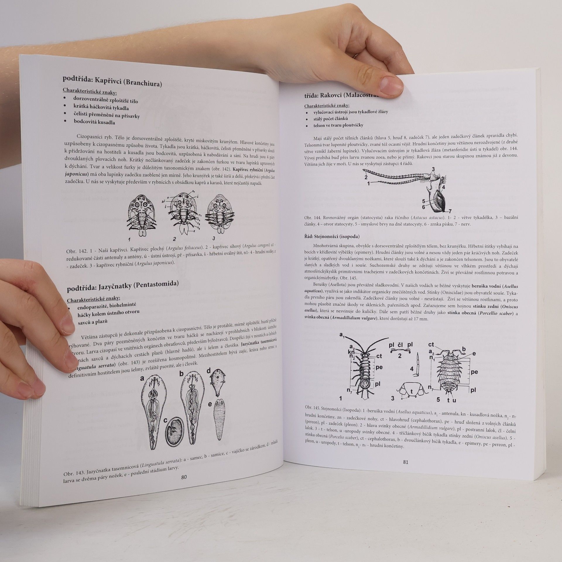 Kolektiv autorů Základy zoologie