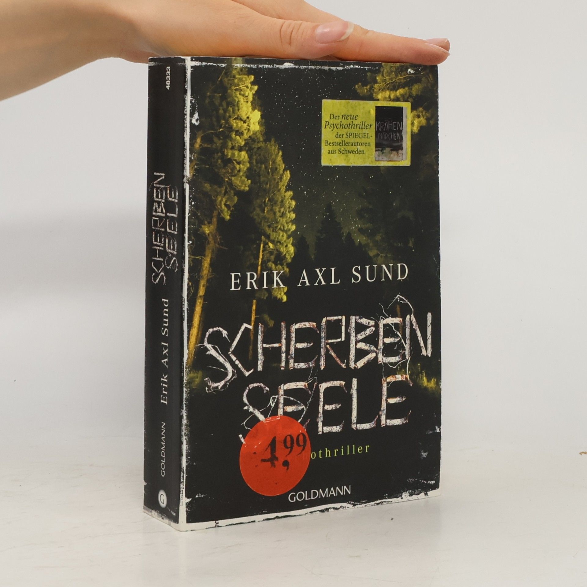 Erik Axl Sund Scherbenseele