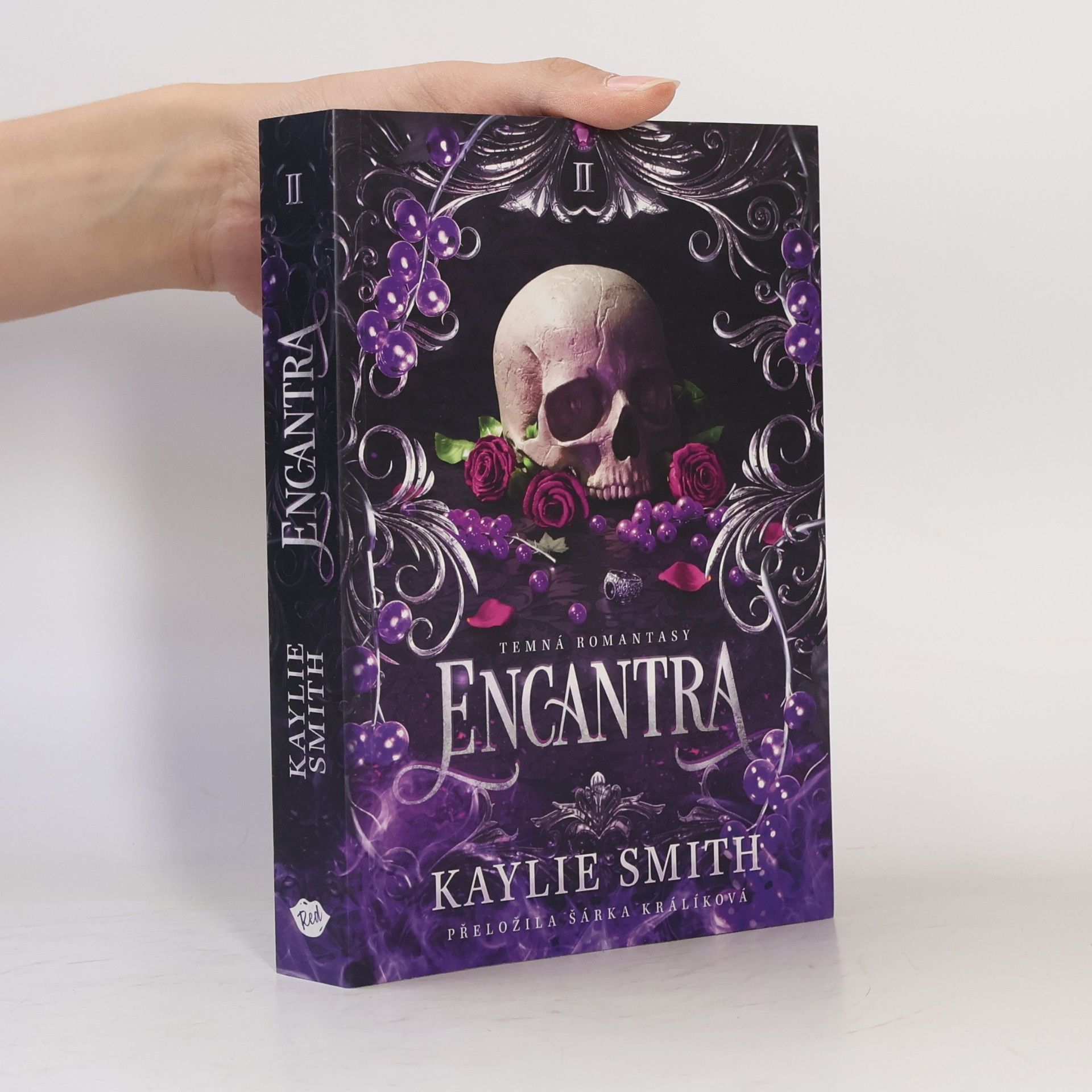 Kaylie Smith Encantra