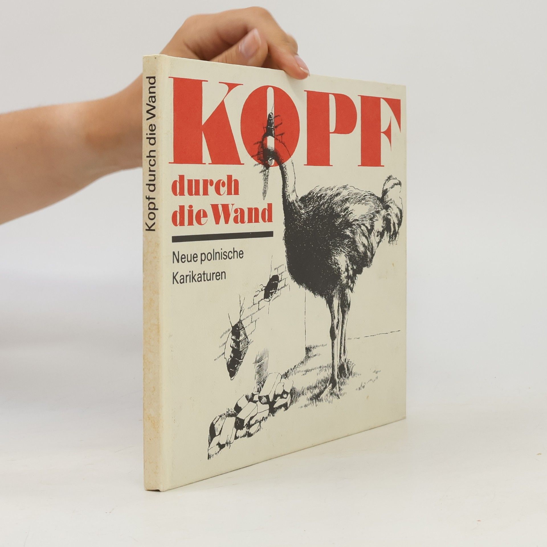 Kolektív autorov Kopf durch die Wand
