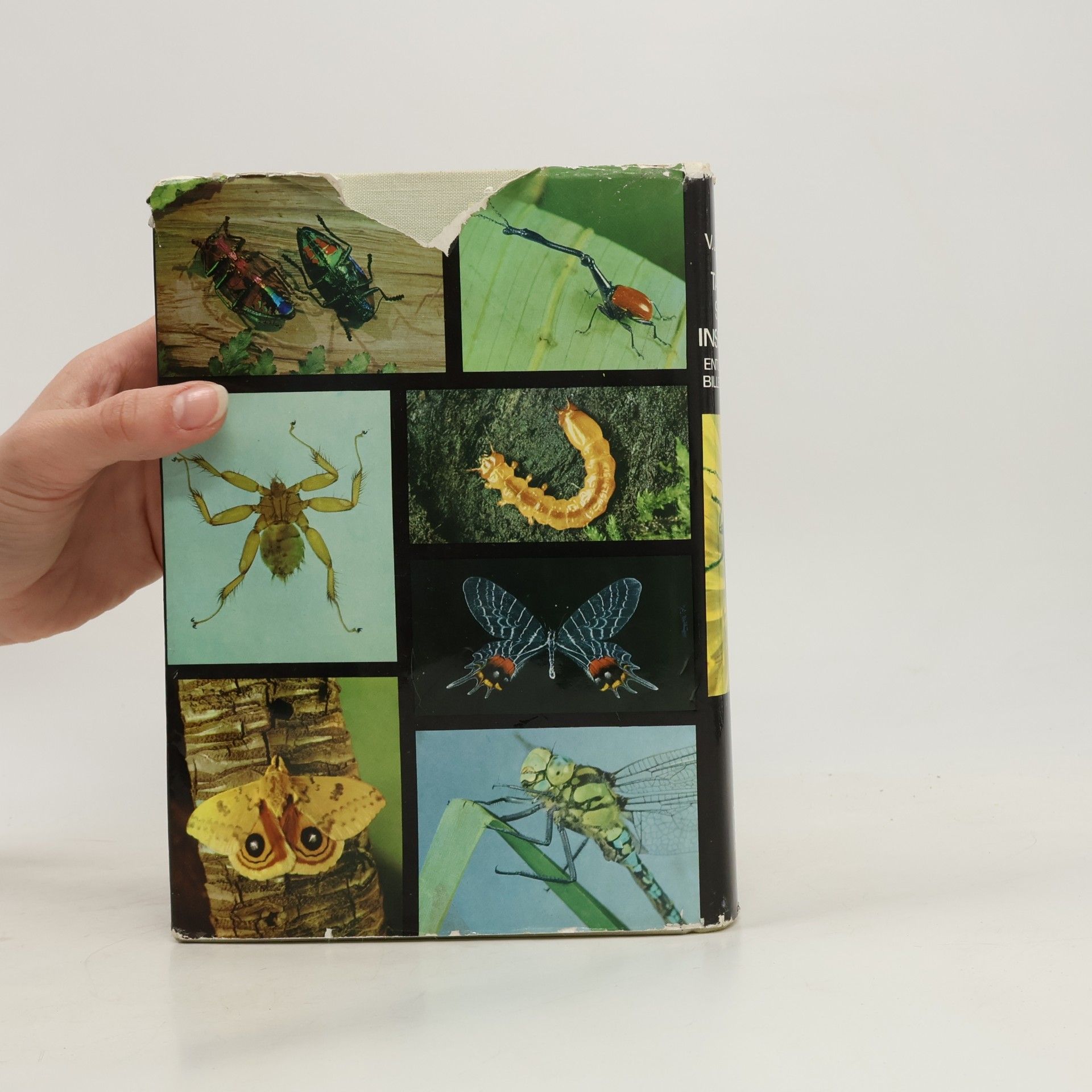 Václav Jan Staněk Tanums store insektbok. Entomologisk billedleksikon
