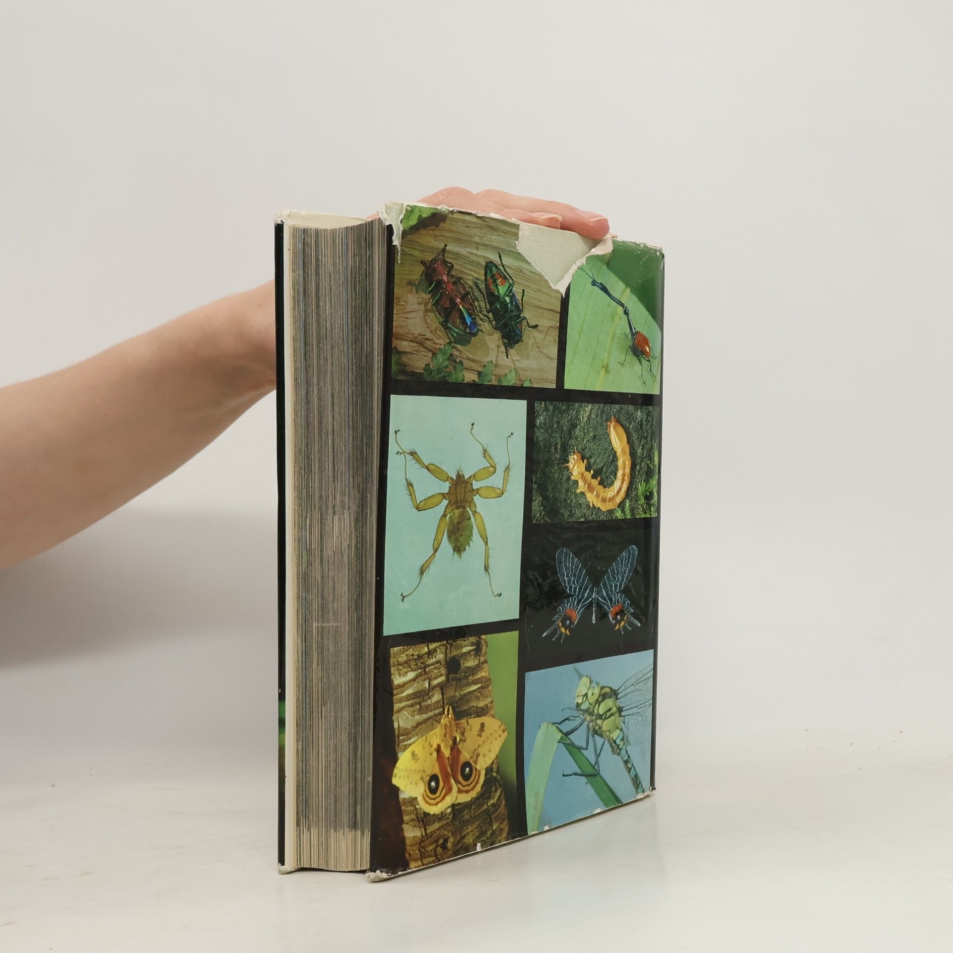 Václav Jan Staněk Tanums store insektbok. Entomologisk billedleksikon