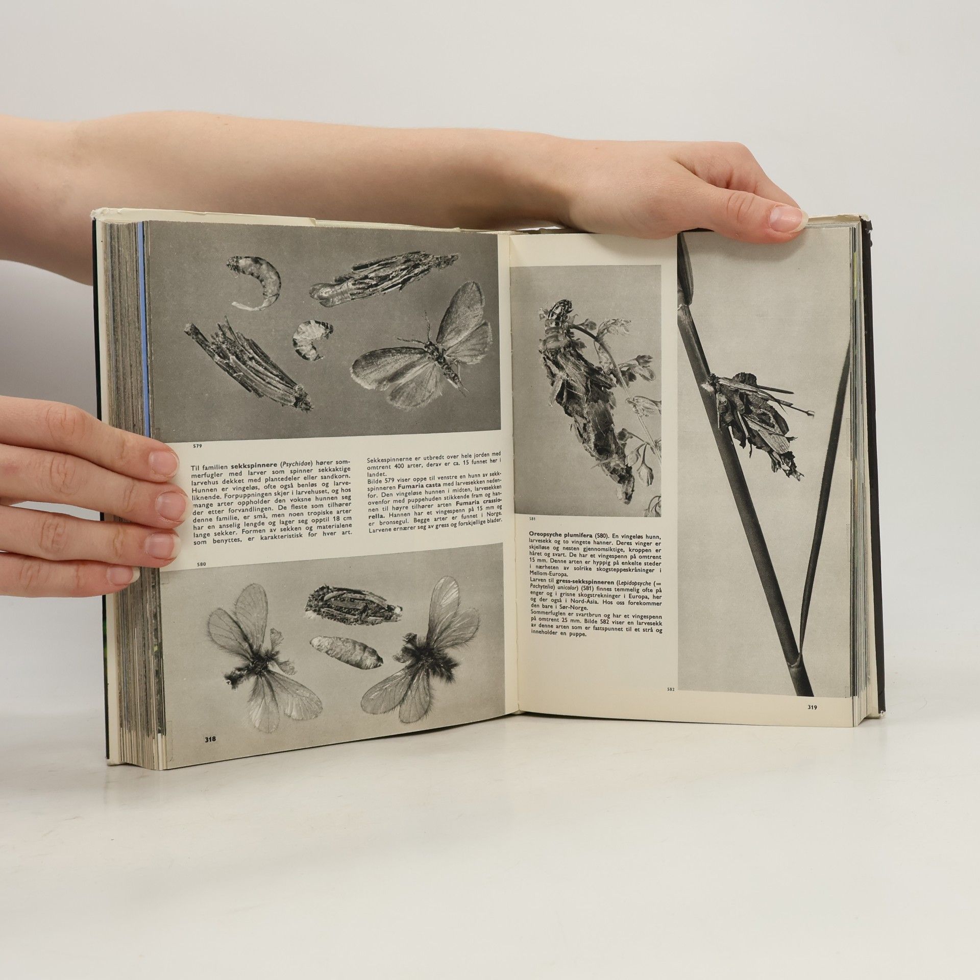Václav Jan Staněk Tanums store insektbok. Entomologisk billedleksikon