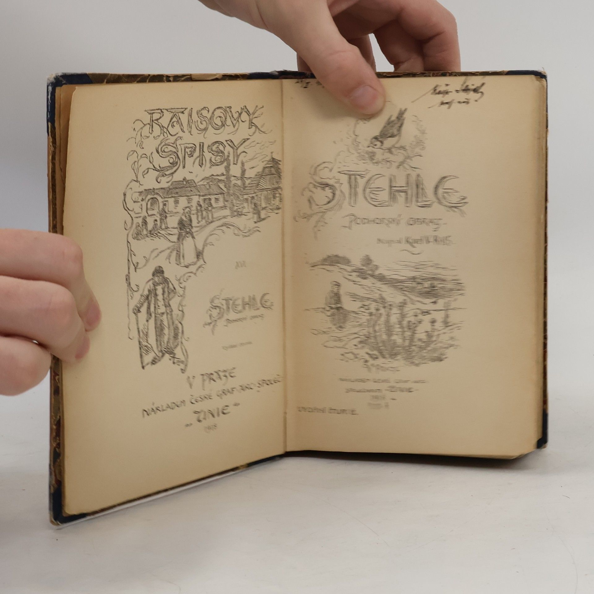 Karel Václav Rais Raisovy spisy 16: Stehle. Podhorský obraz Raisovy spisy 16: Stehle. Podhorský obraz Karel Rais 1925 česky Česká grafická unie 3724332 Stehle. Podhorský obraz