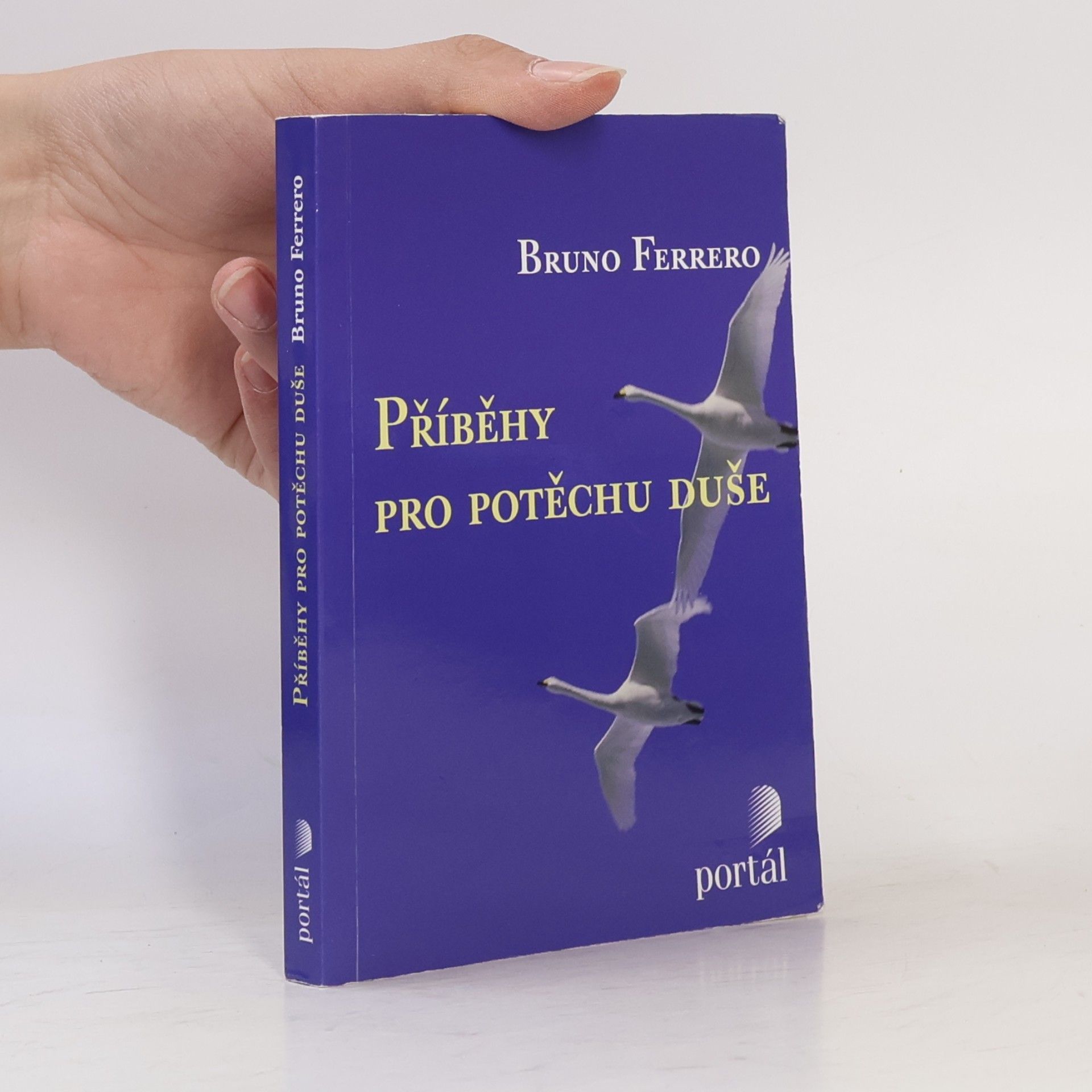 Bruno Ferrero Příběhy pro potěchu duše