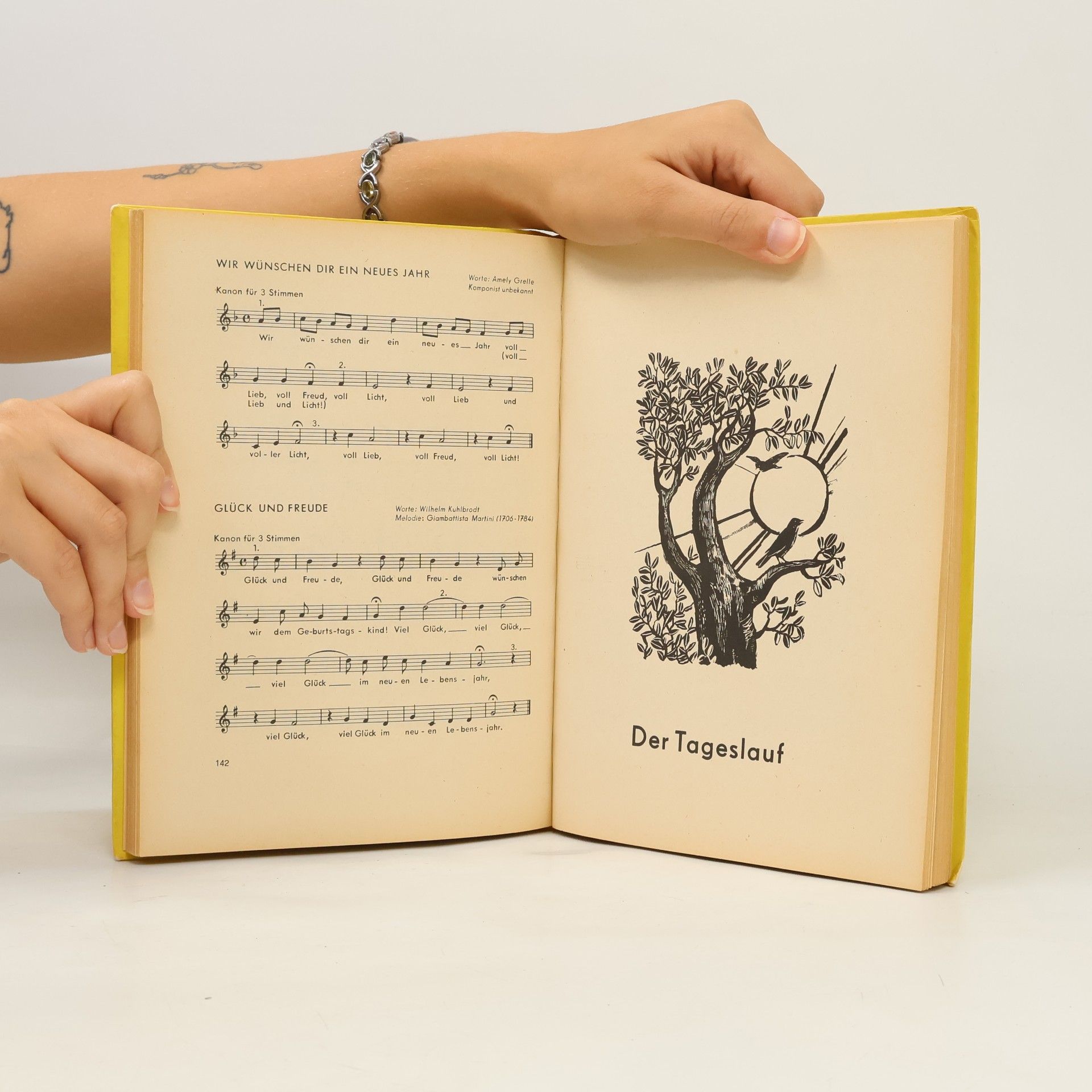 Kolektív autorov Fröhlich singen, vorwärts schauen : 9. und 10. Klasse