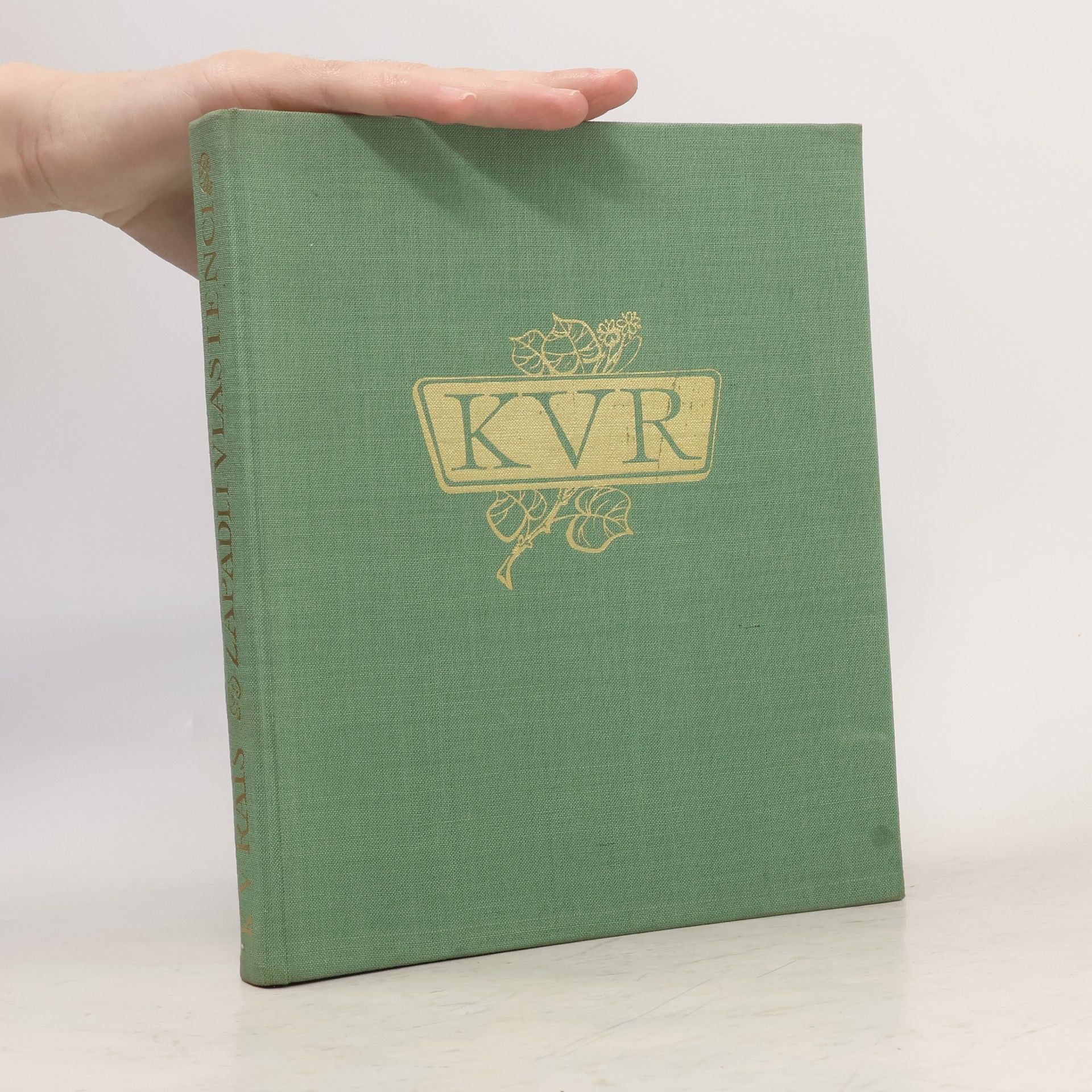 Karel Václav Rais Zapadlí vlastenci