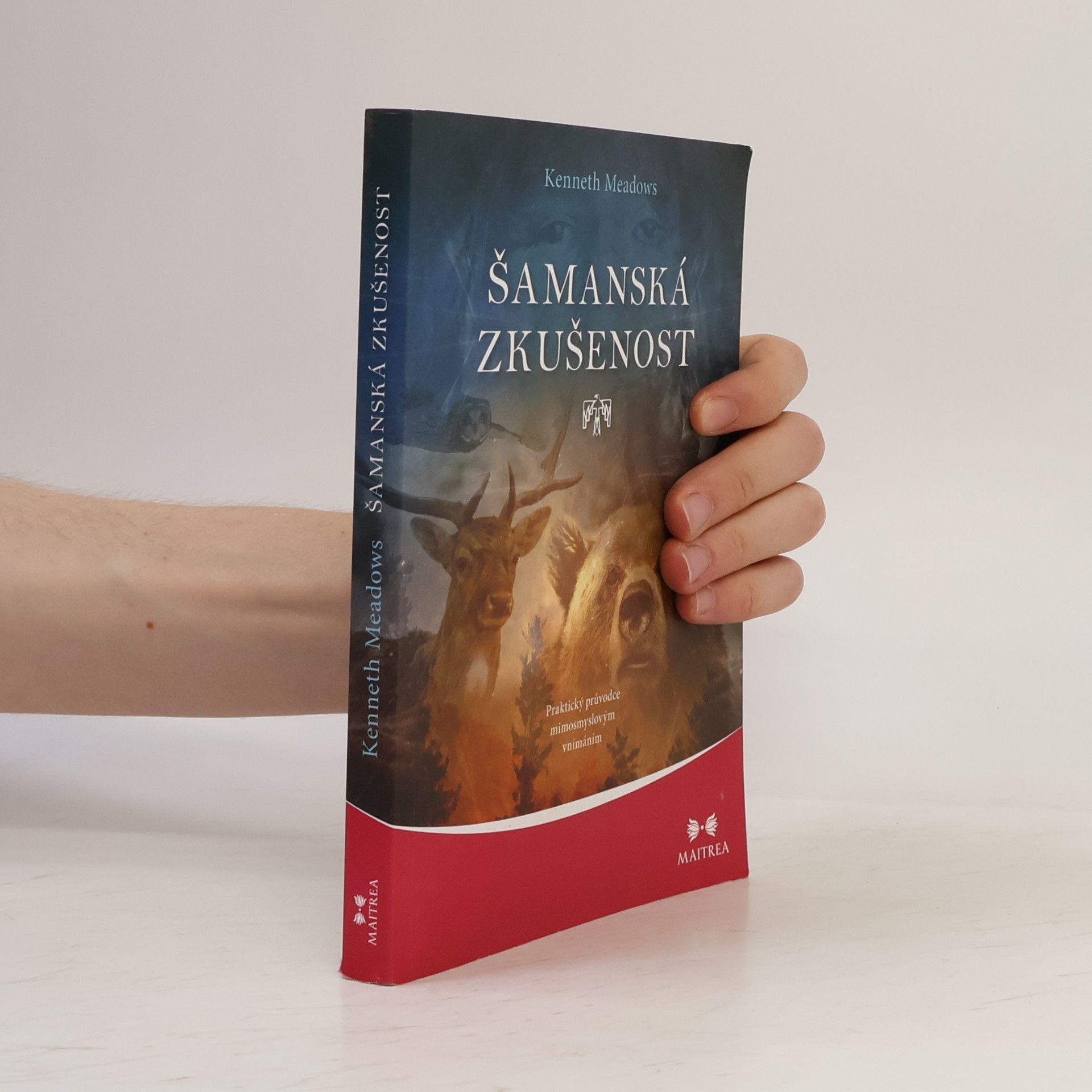 Kenneth Meadows Šamanská zkušenost - Praktický průvodce mimosmyslovým vnímáním