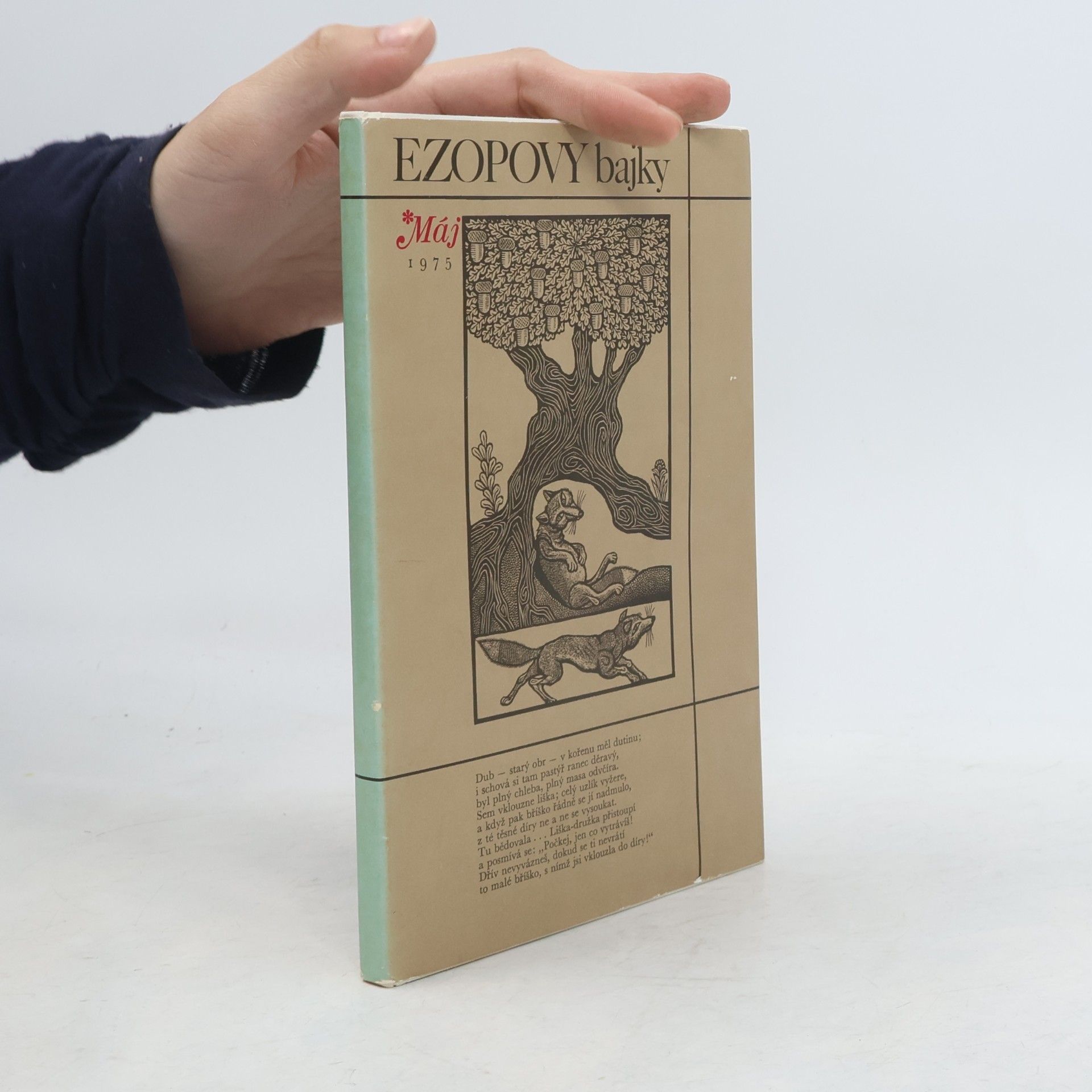 Collectif d'auteurs Ezopovy bajky