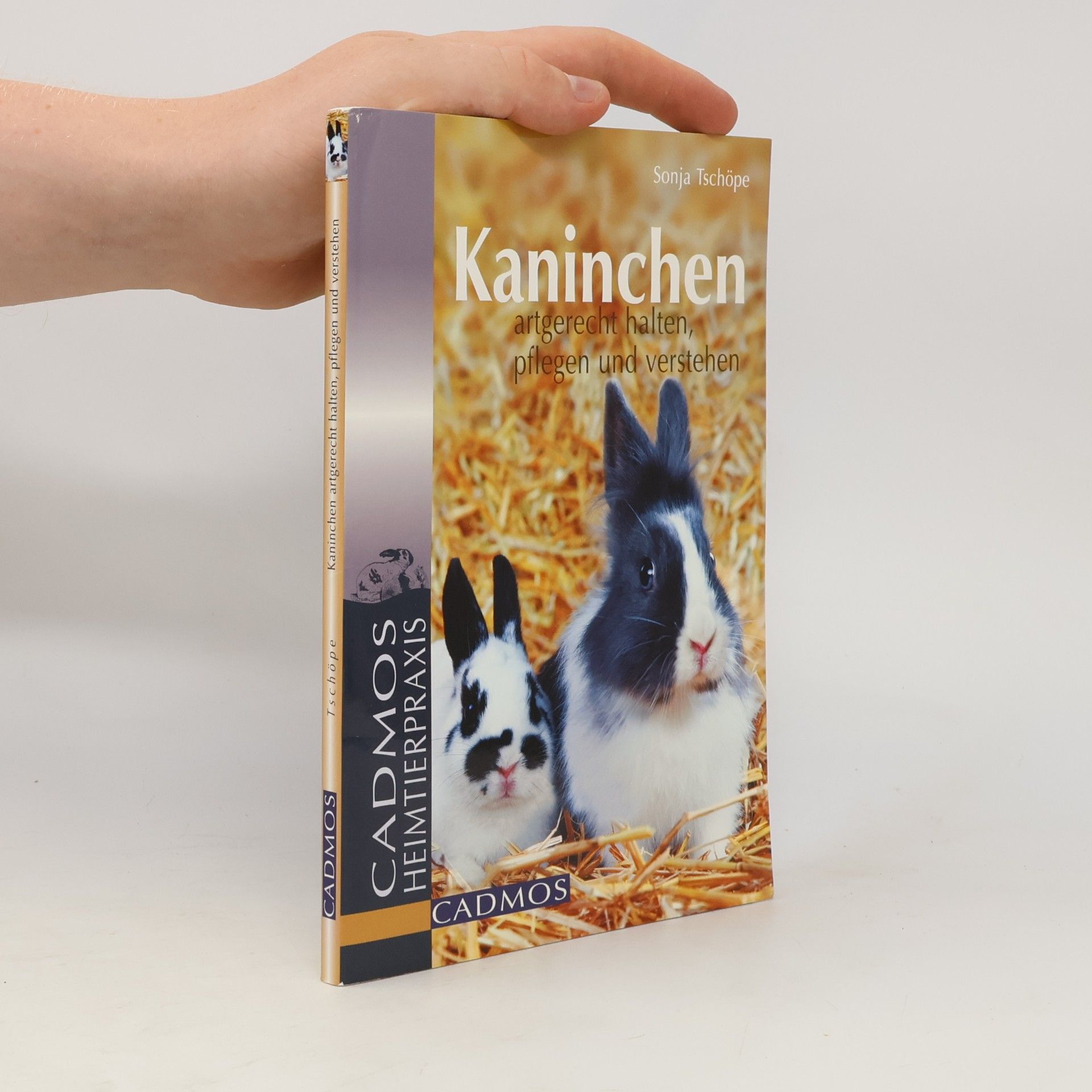 Sonja Tschöpe Kaninchen