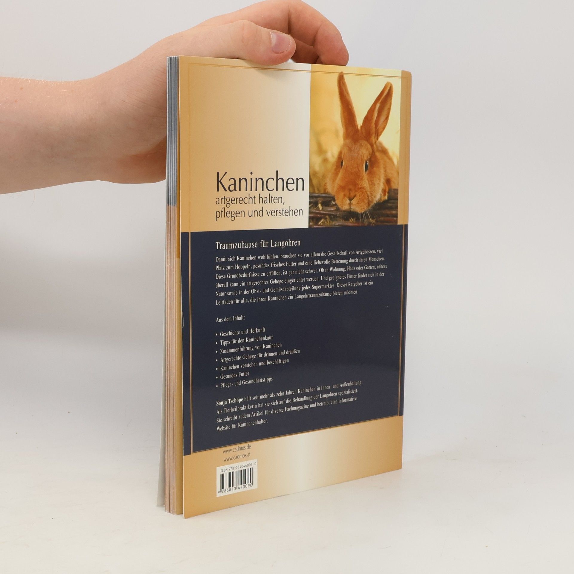 Sonja Tschöpe Kaninchen
