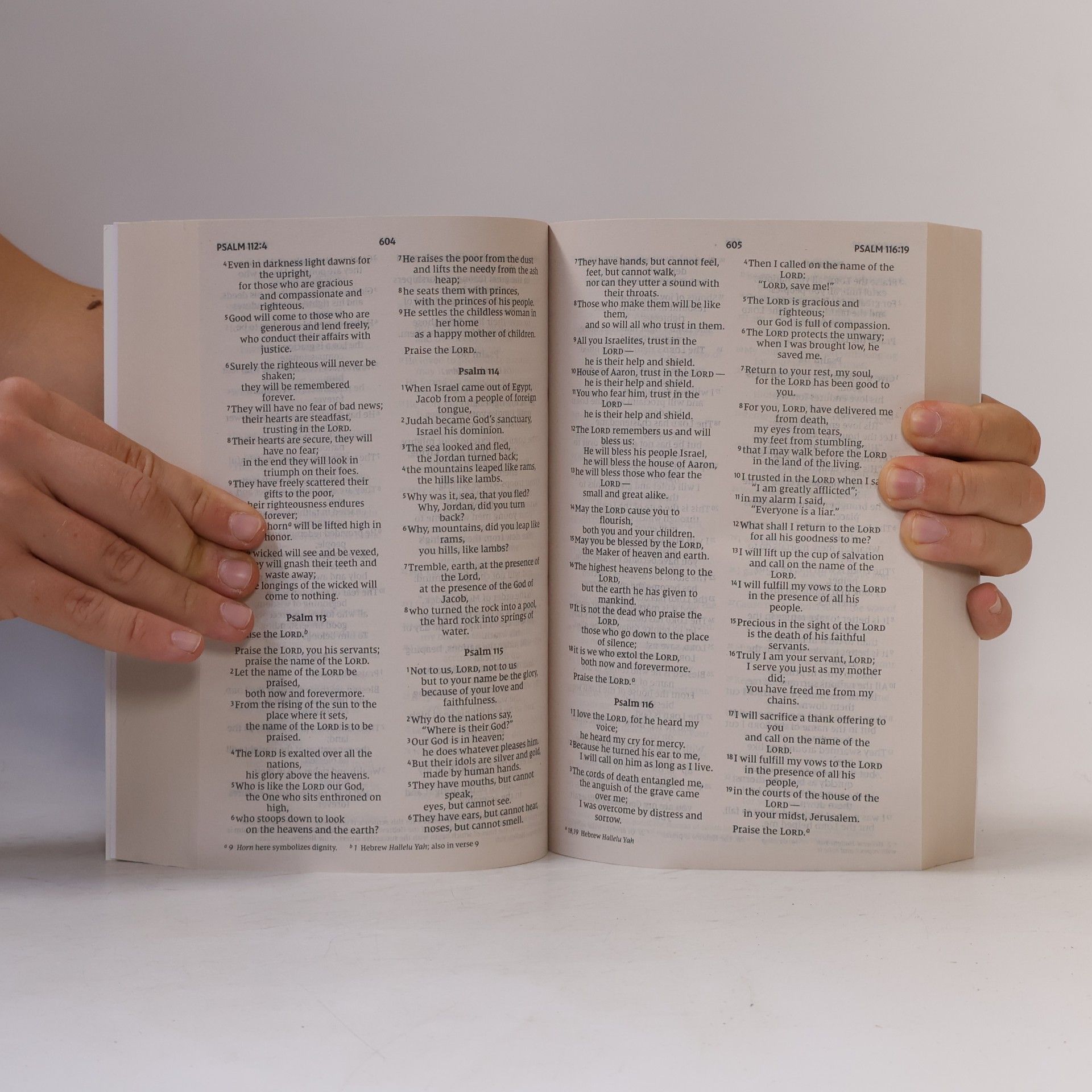 Zondervan NIV: Holy Bible