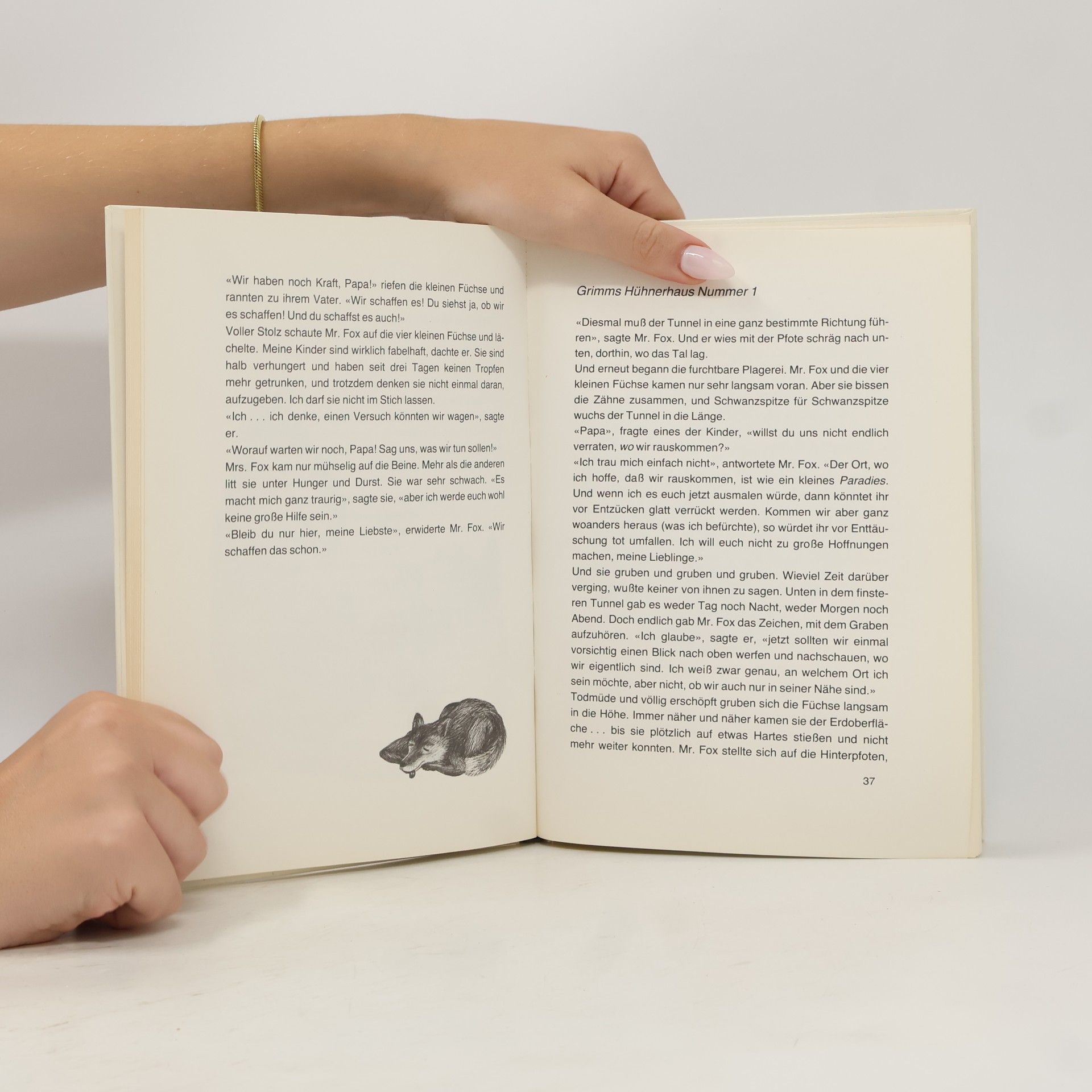 Roald Dahl Der fantastische M[iste]r Fox