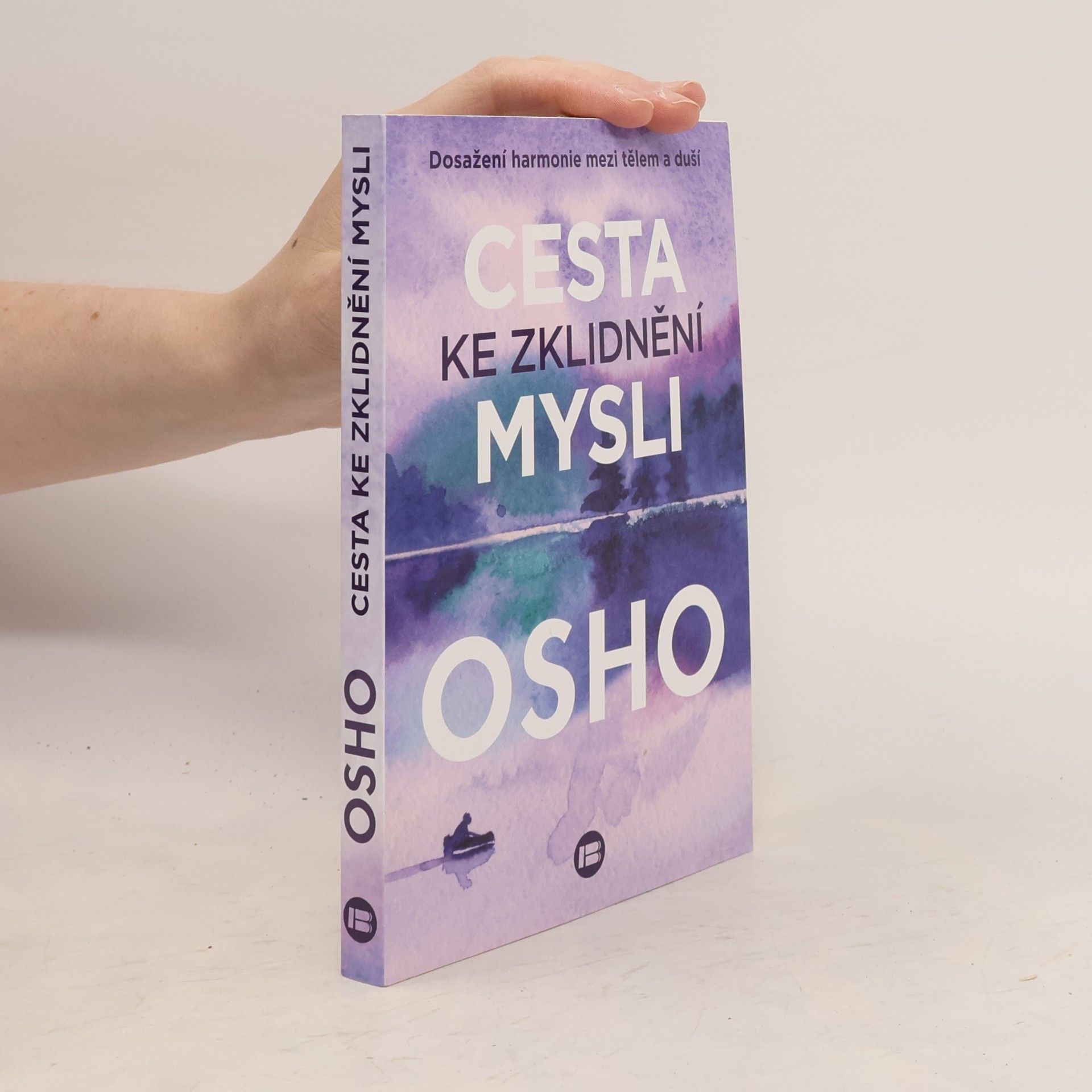 Autorenkollektiv Cesta ke zklidnění mysli