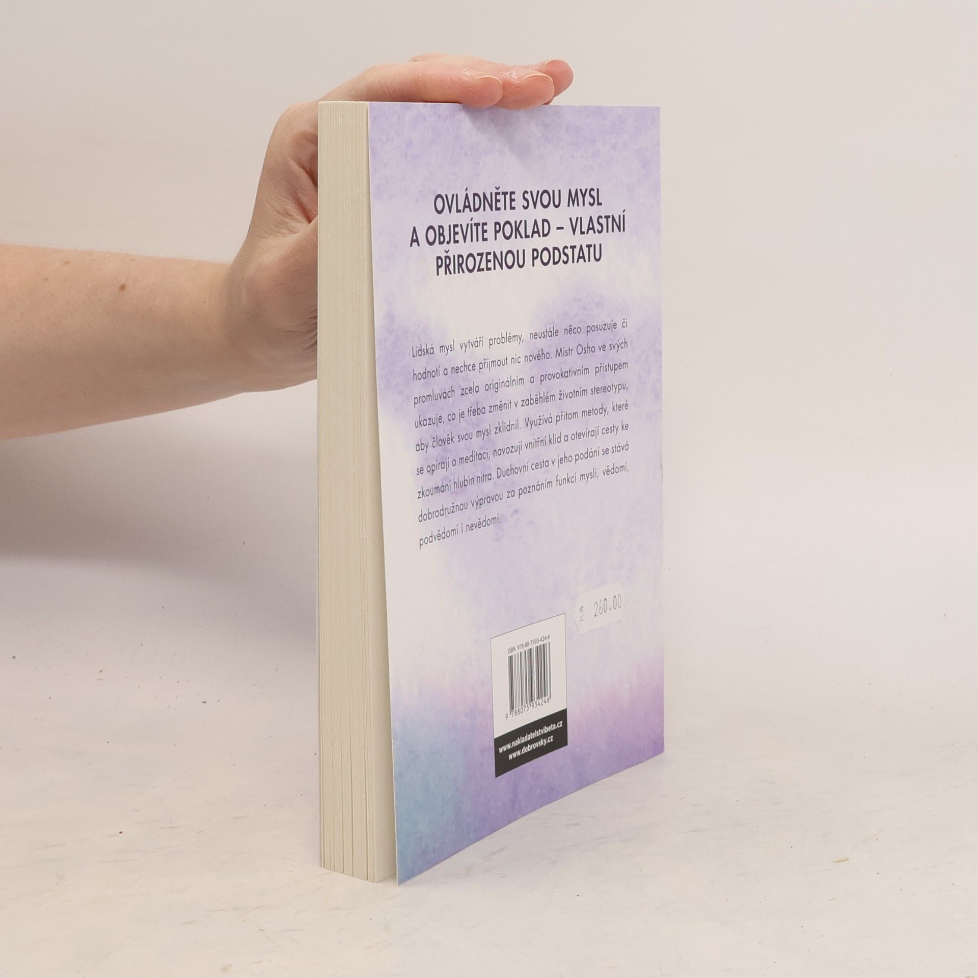 Autorenkollektiv Cesta ke zklidnění mysli