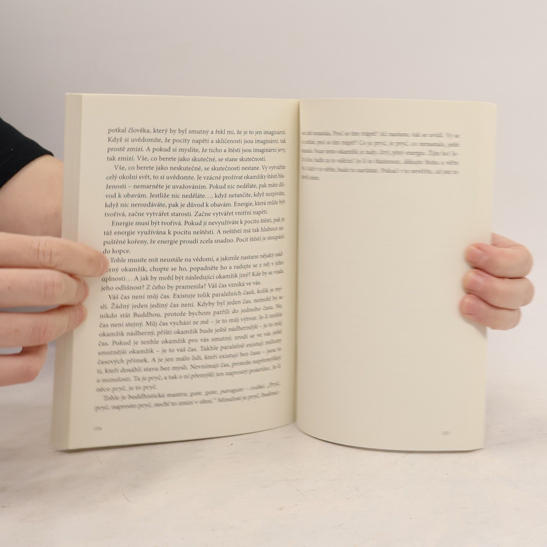 Autorenkollektiv Cesta ke zklidnění mysli