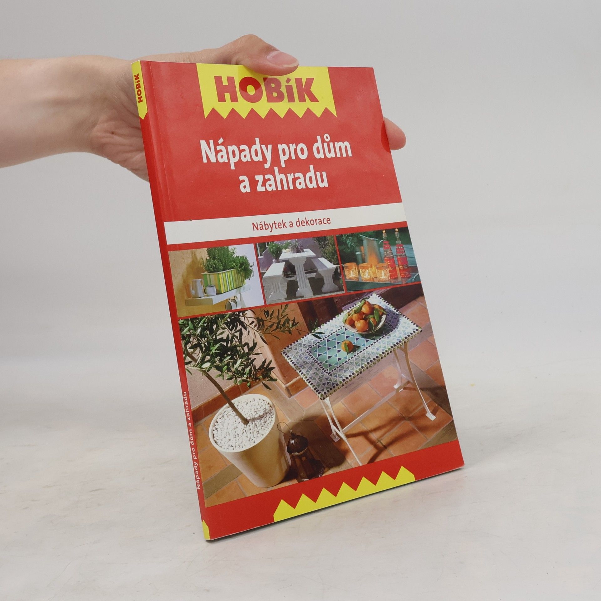 Kolektiv autorů Nápady pro dům a zahradu: Nábytek a dekorace