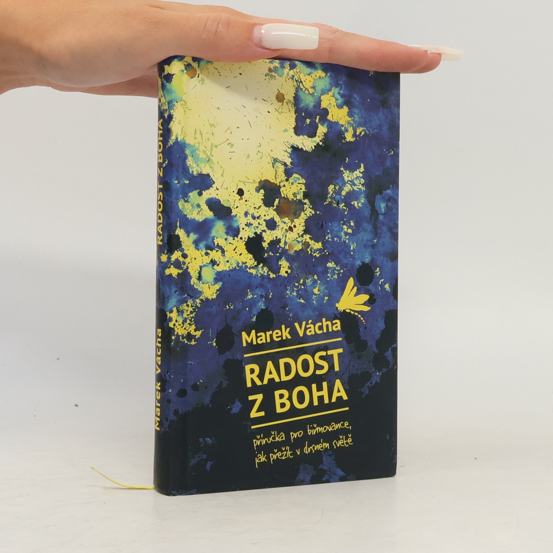 Marek Vácha Radost z Boha. Příručka pro biřmovance, jak přežít v drsném světě