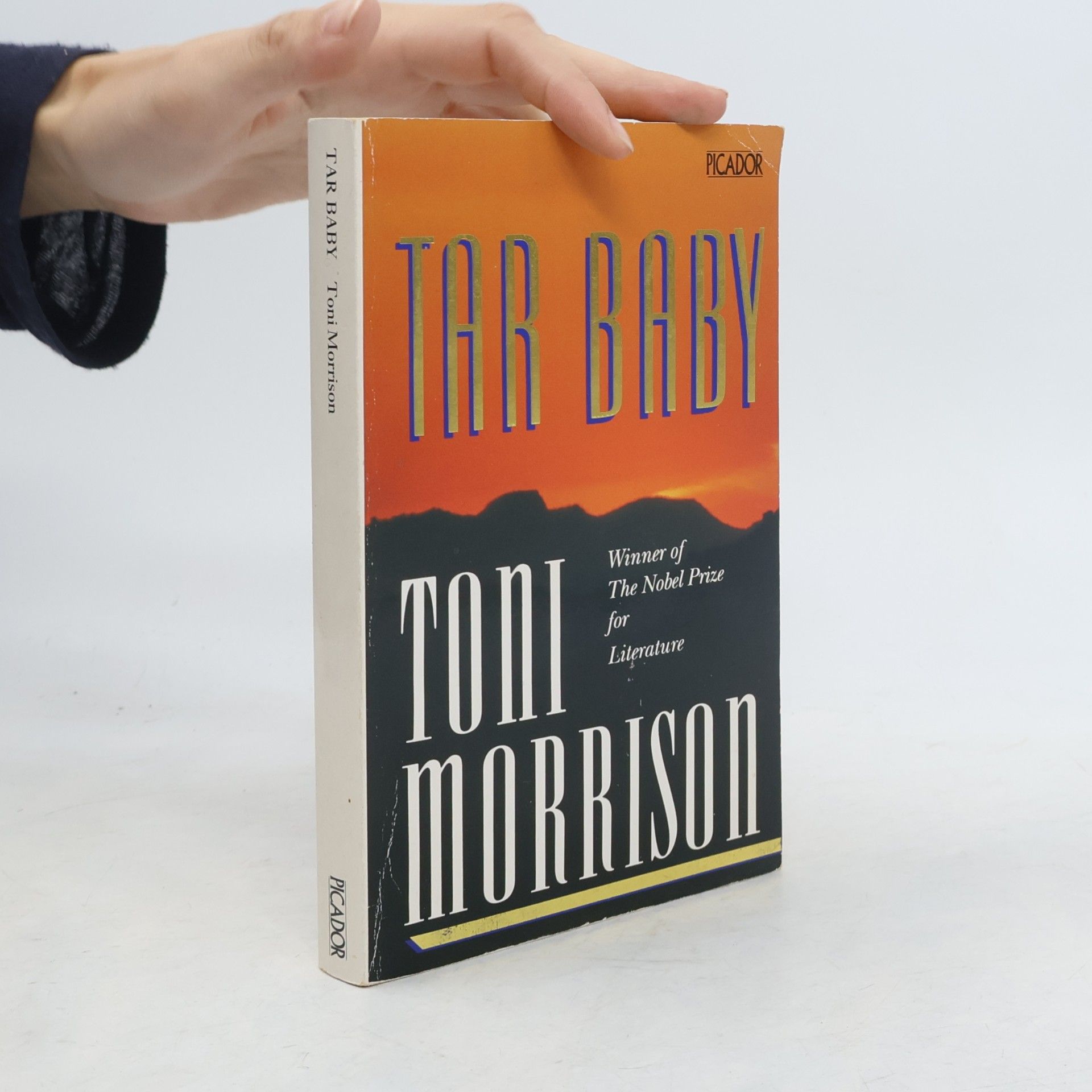 Toni Morrison Tar Baby