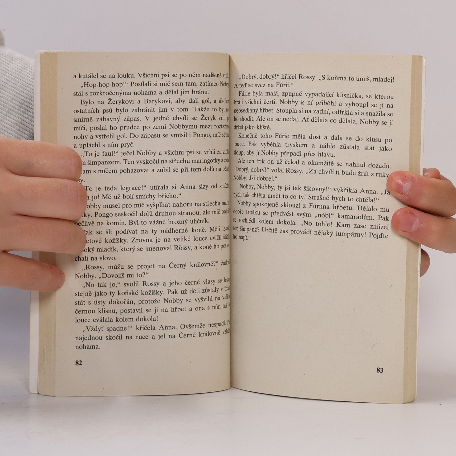 Enid Blyton Správná pětka. Pětka a prázdniny v maringotkách