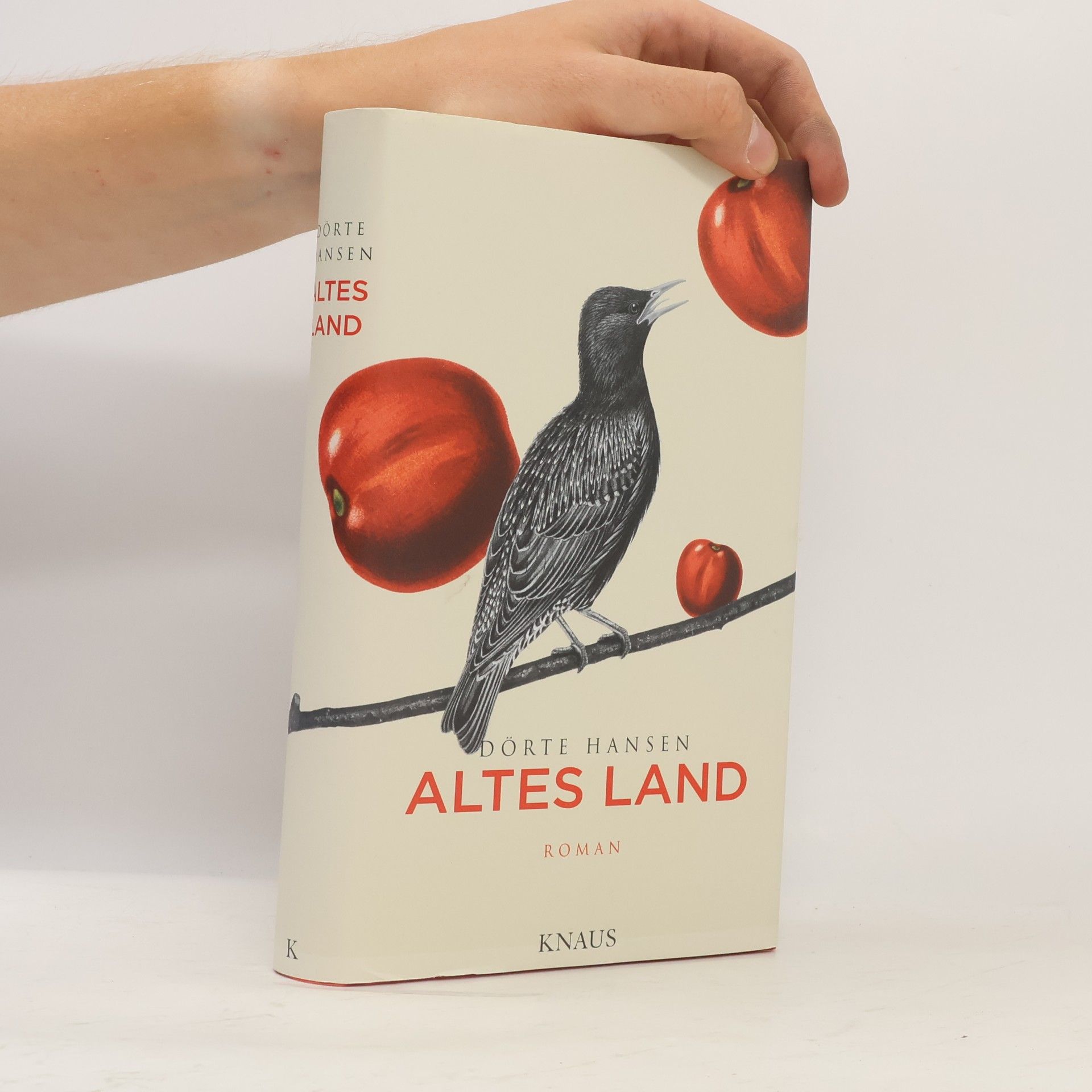 Dörte Hansen Altes Land