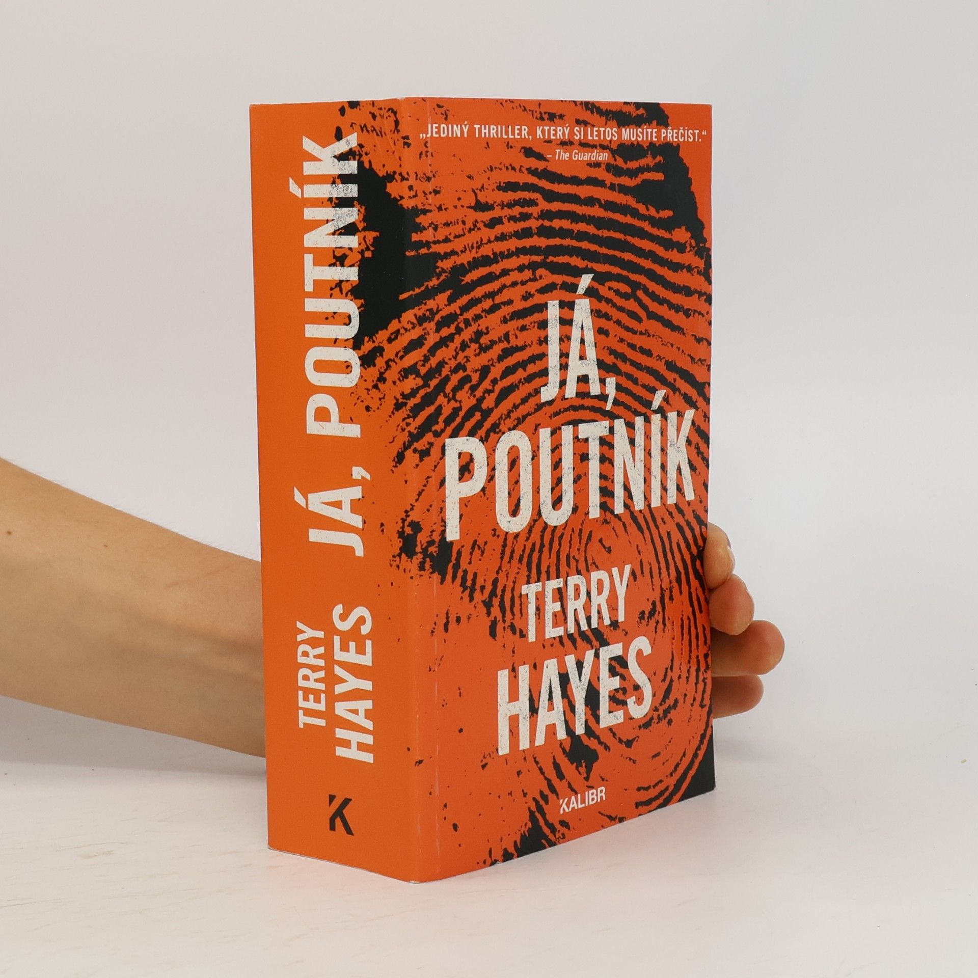 Terry Hayes Já, Poutník