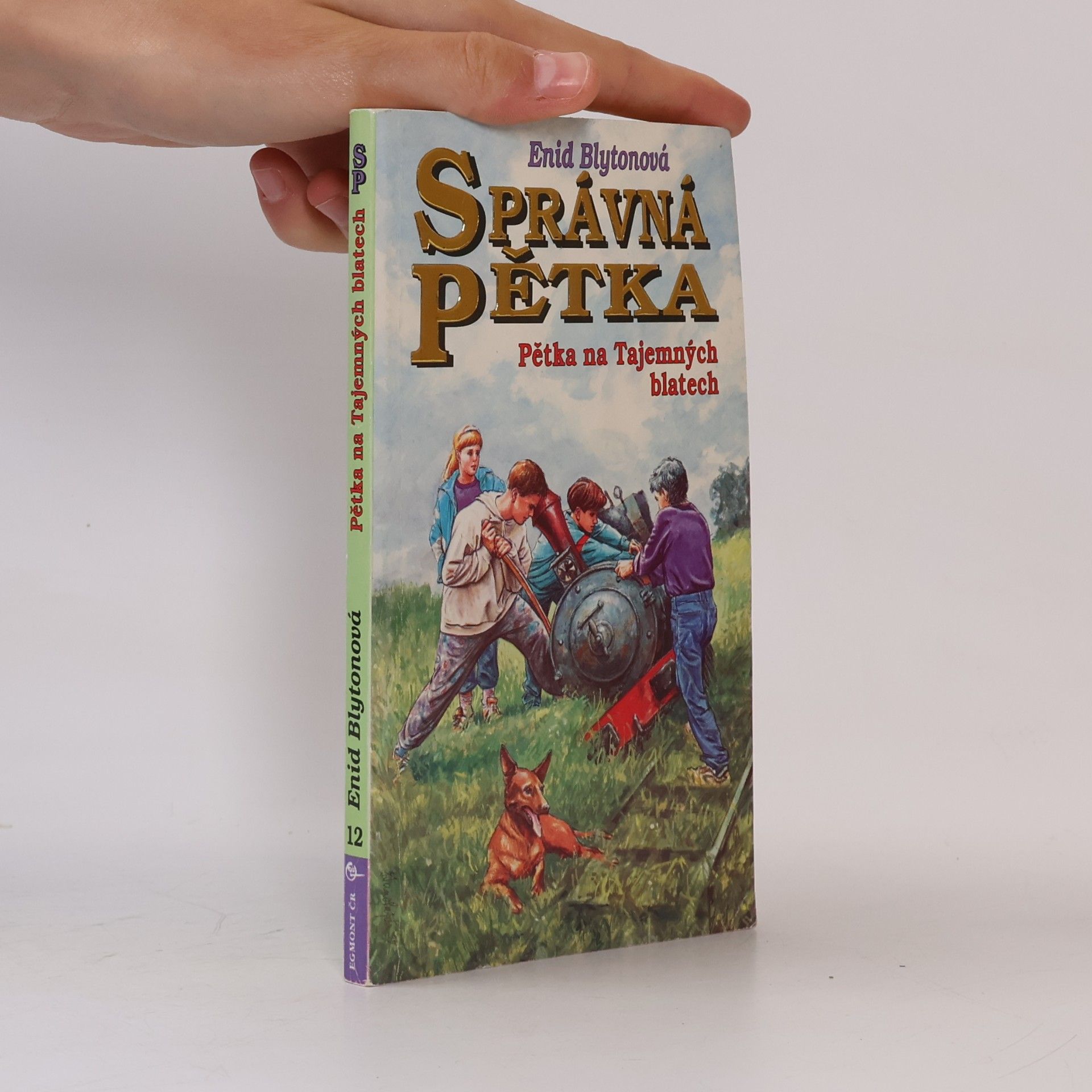 Enid Blyton Správná pětka - Pětka na Tajemných blatech
