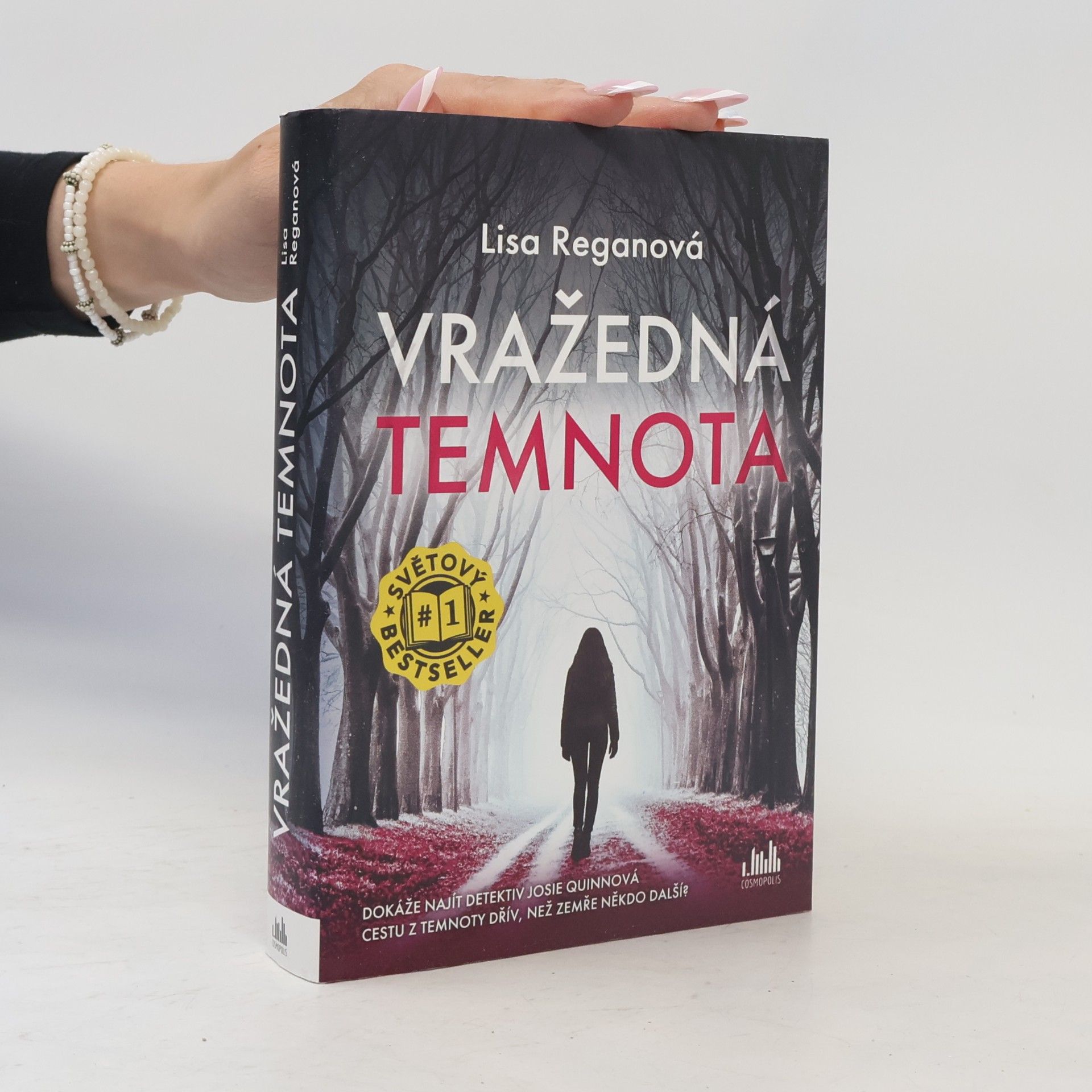 Lisa Regan Vražedná temnota