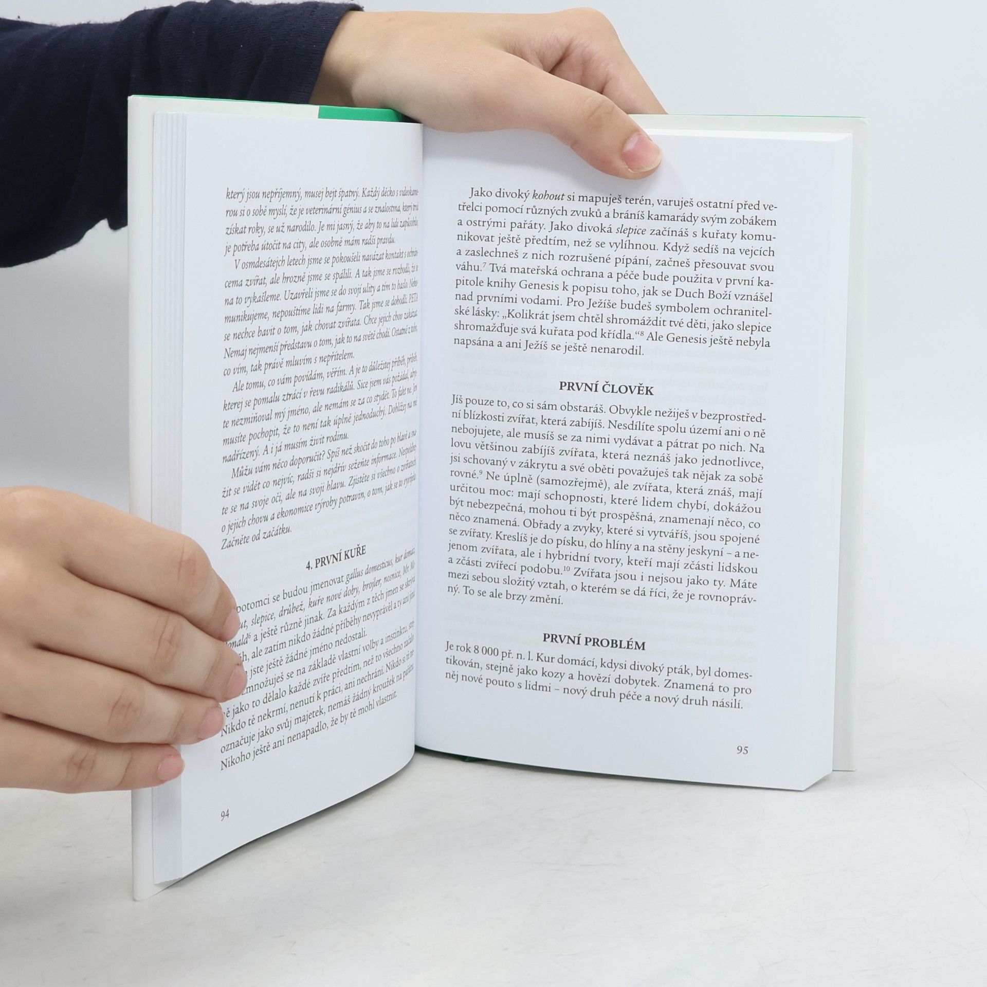 Jonathan Safran Foer Jíst zvířata