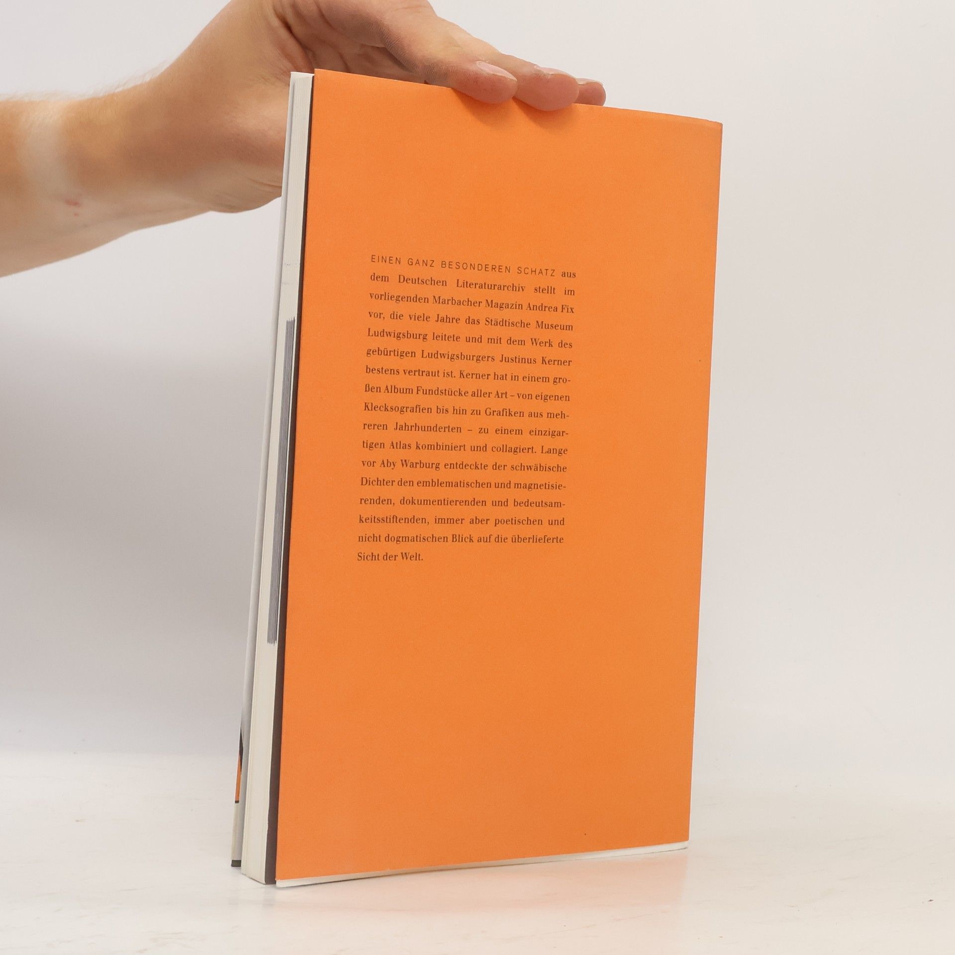 Andrea Fix Das Theatrum mundi des Justinus Kerner