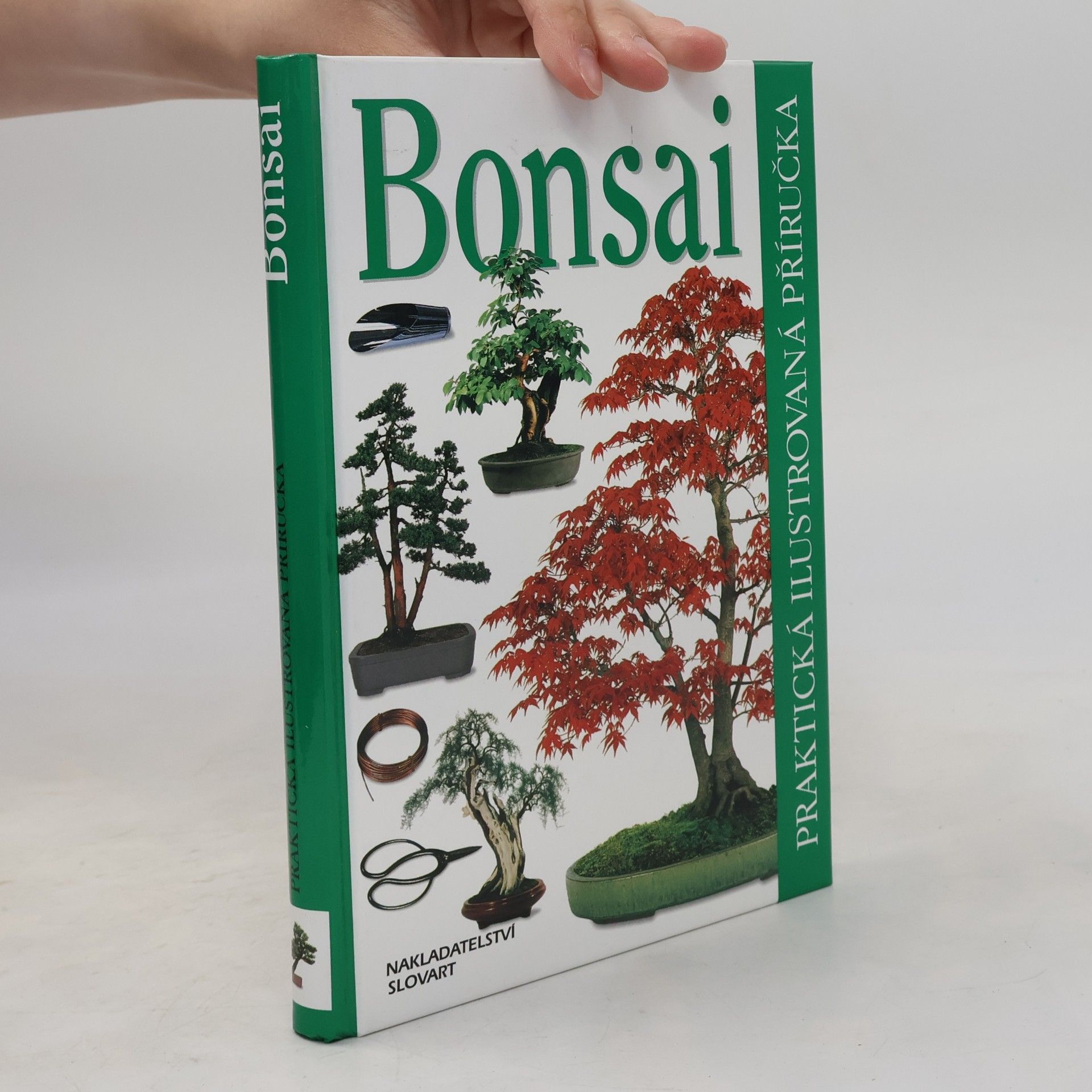 Dana Wiesnerová Bonsai. Praktická ilustrovaná příručka