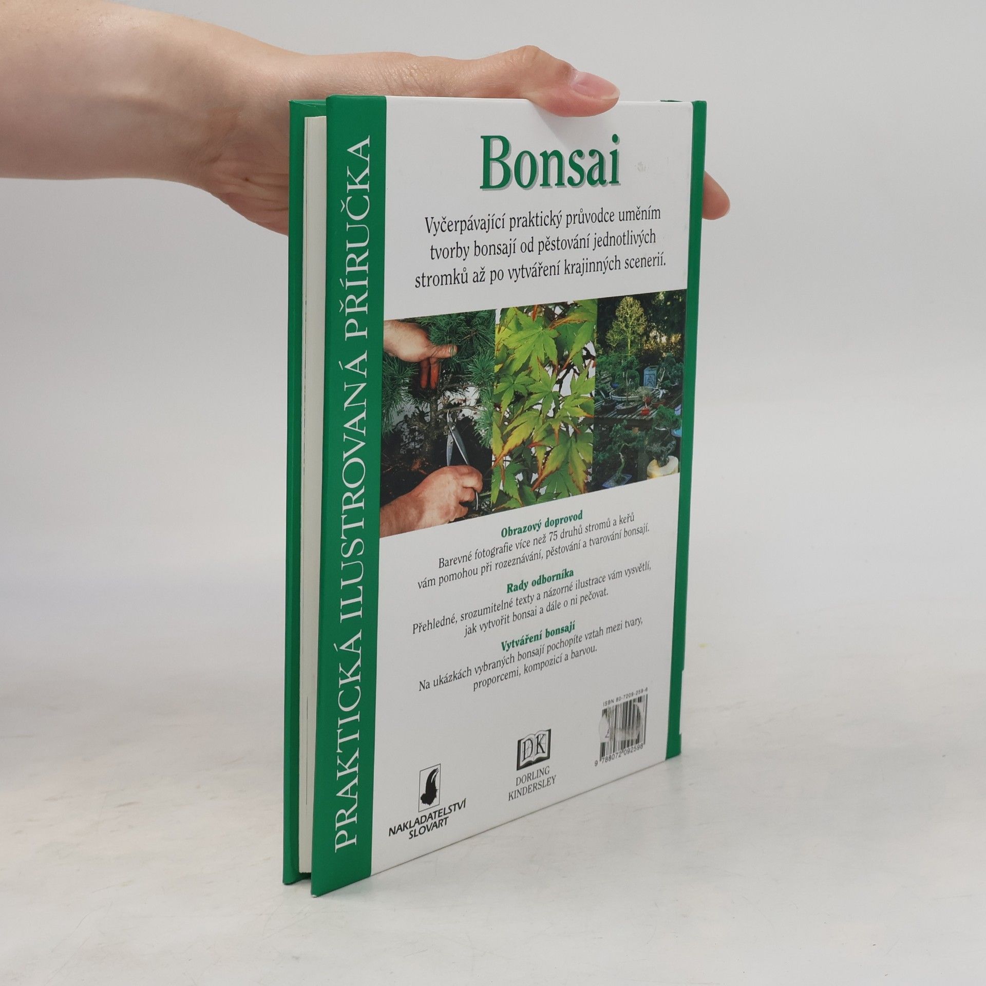 Dana Wiesnerová Bonsai. Praktická ilustrovaná příručka