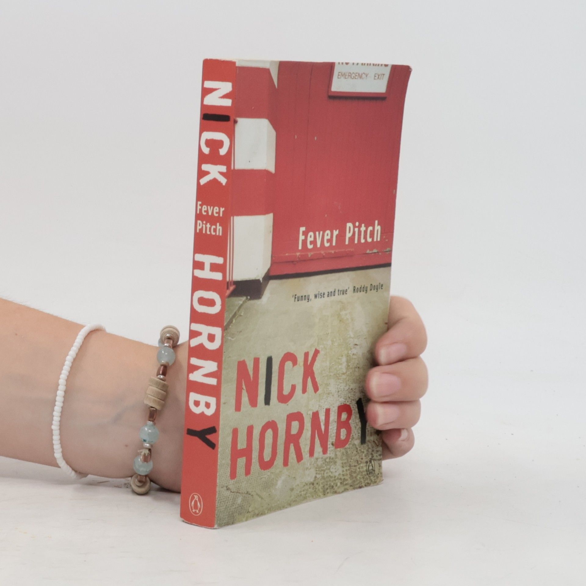 Nick Hornby Fever pitch