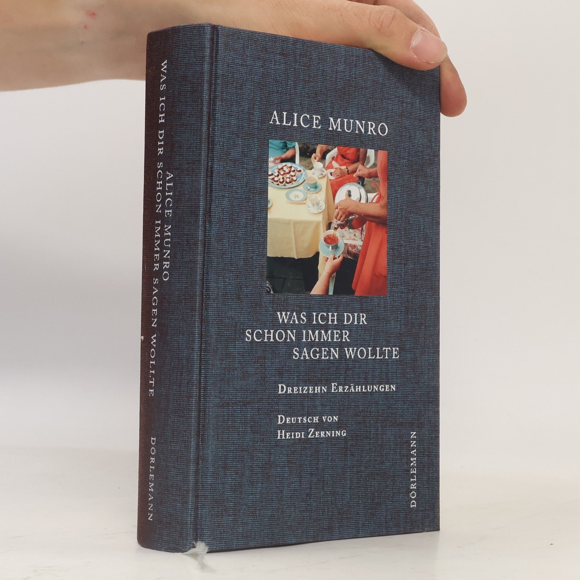 Alice Munro Was ich dir schon immer sagen wollte
