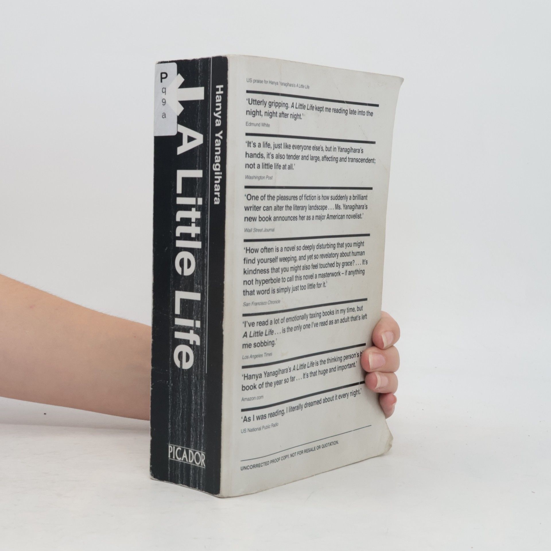 Hanya Yanagihara A Little Life
