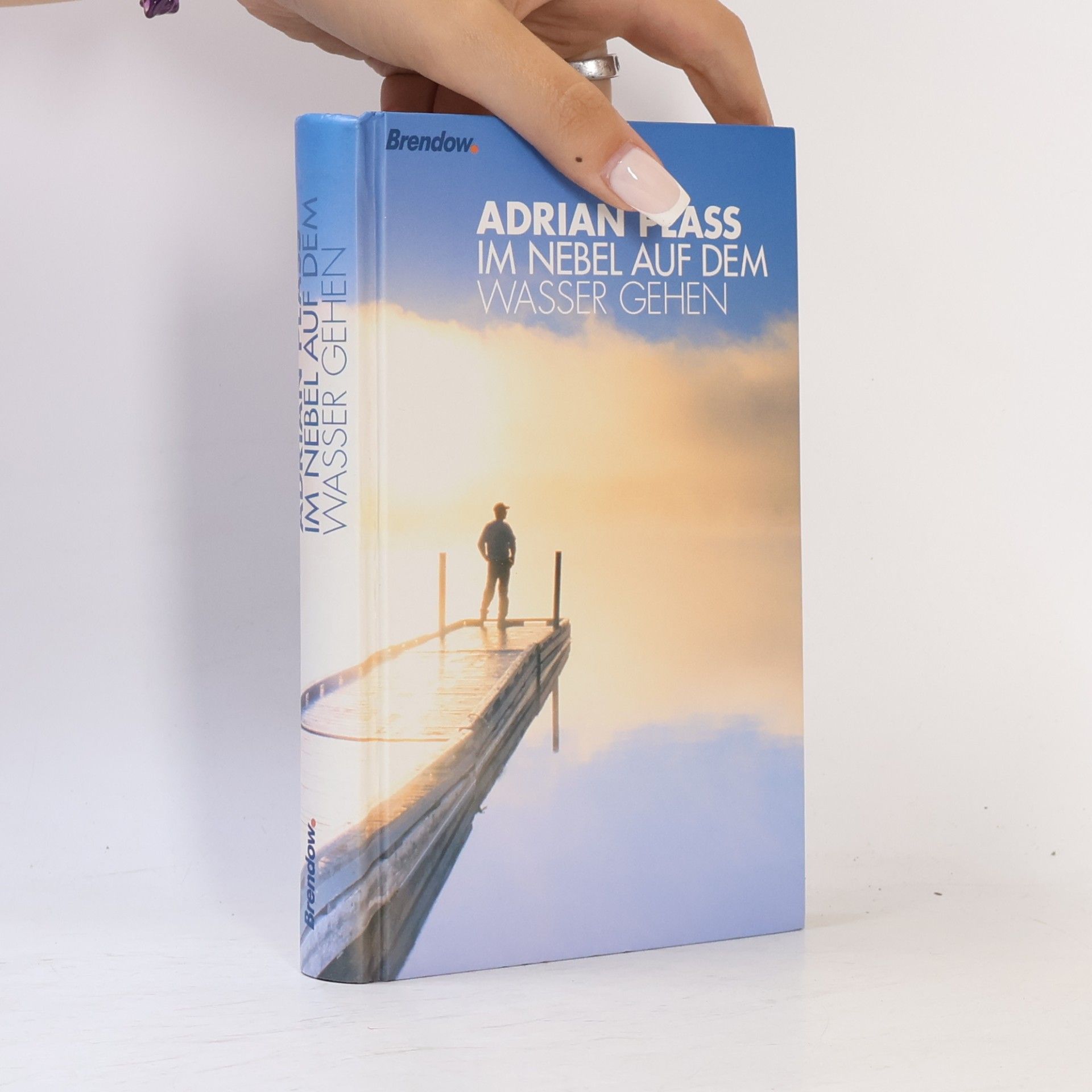 Adrian Plass Im Nebel auf dem Wasser gehen
