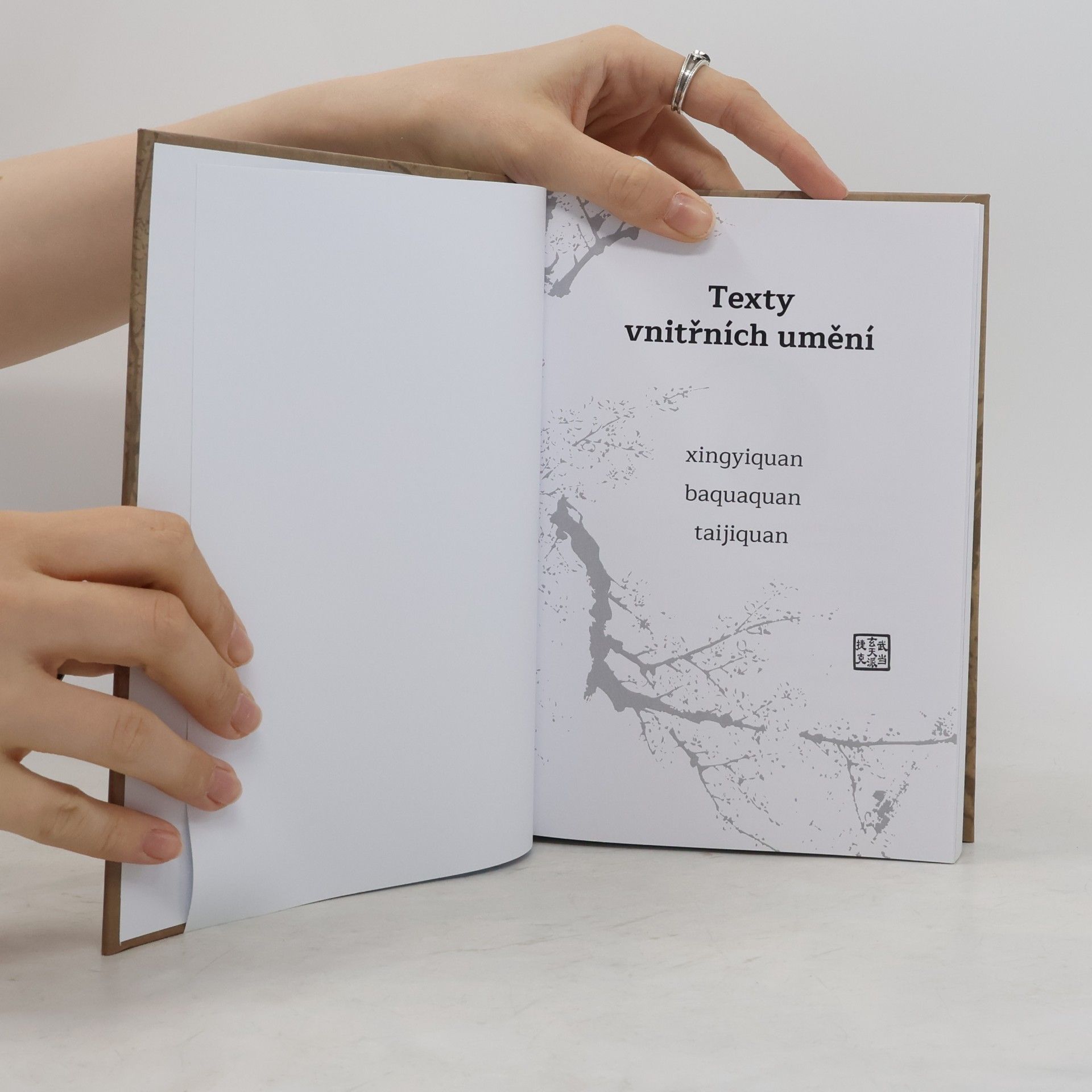 Jan Pletánek Texty vnitřních umění