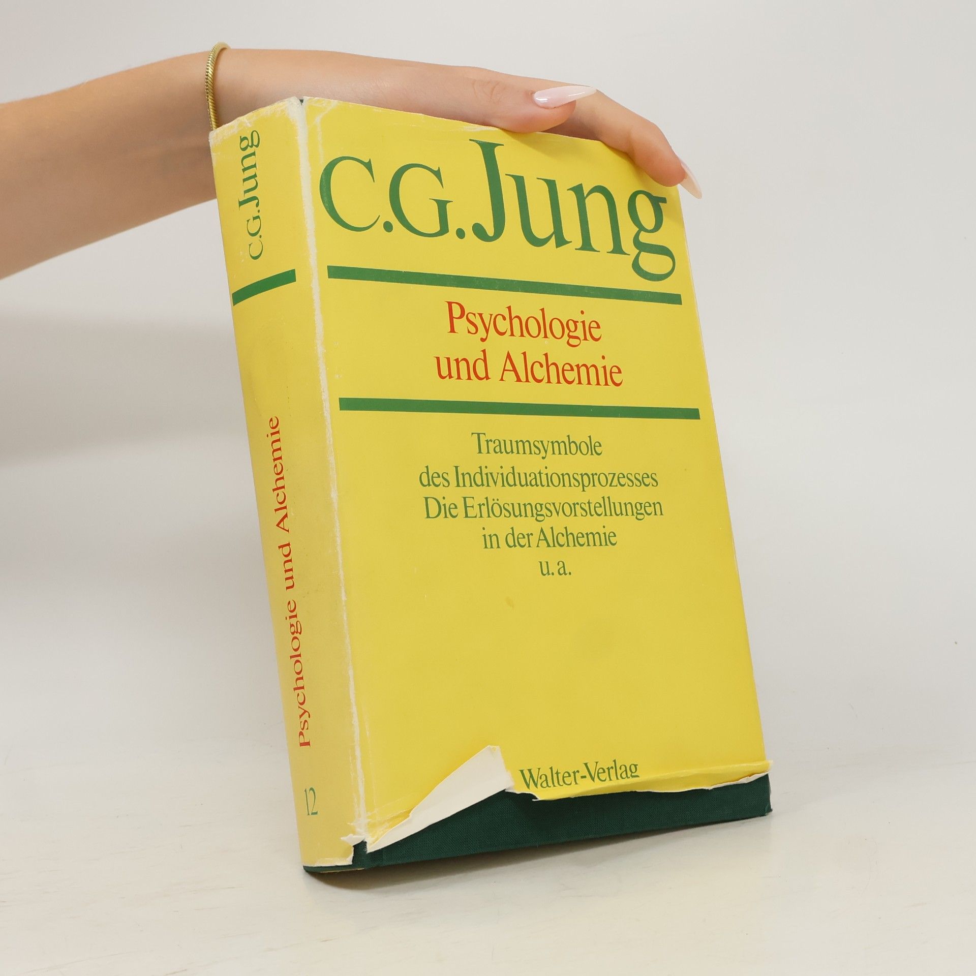 Carl Jung Psychologie und Alchemie