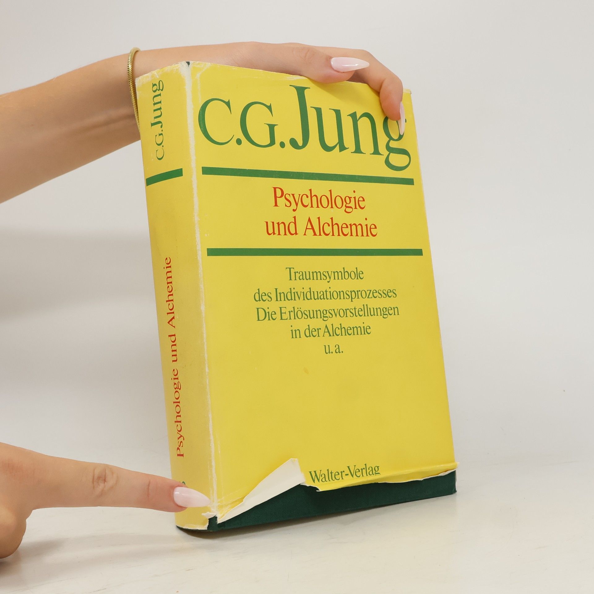 Carl Gustav Jung Psychologie und Alchemie