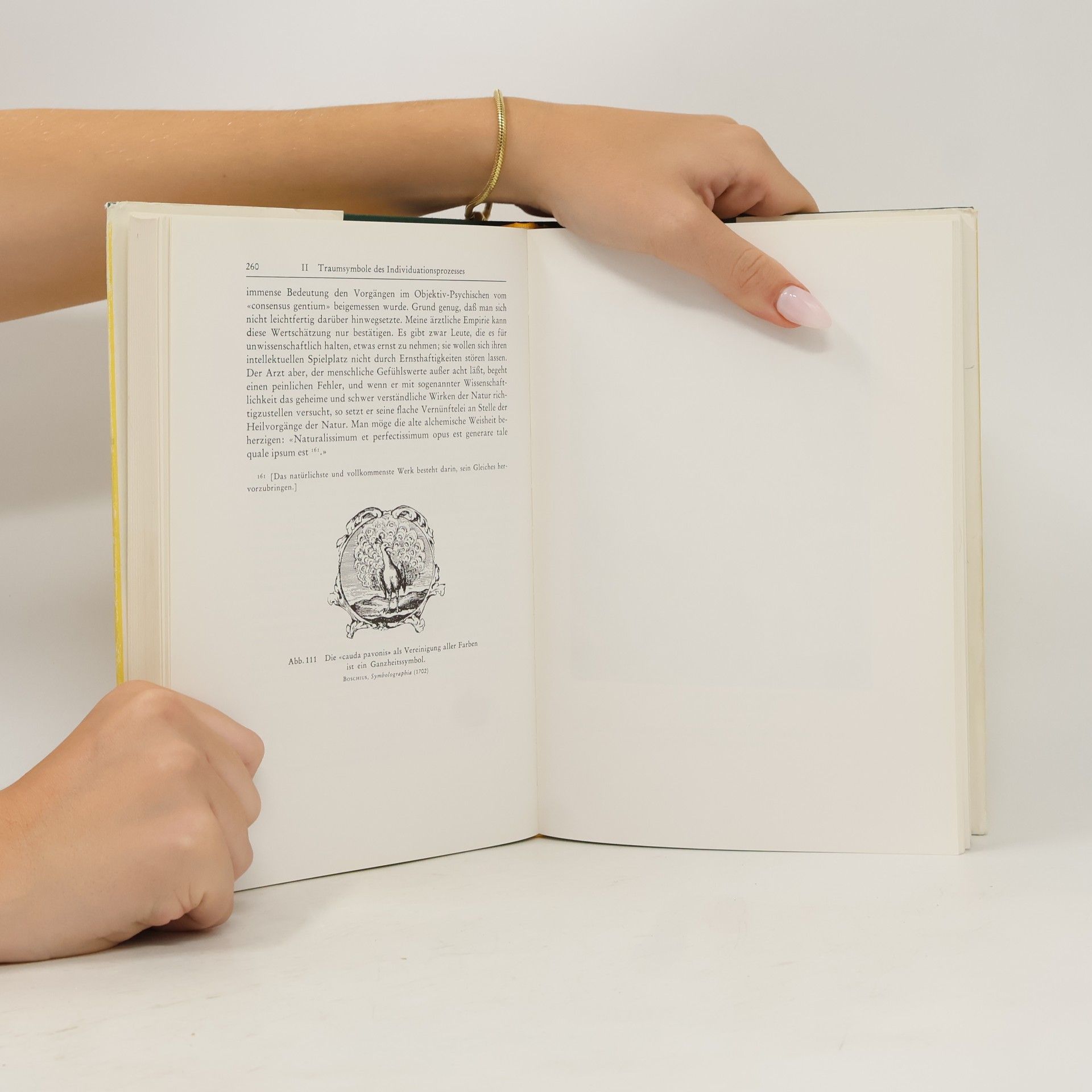 Carl Gustav Jung Psychologie und Alchemie