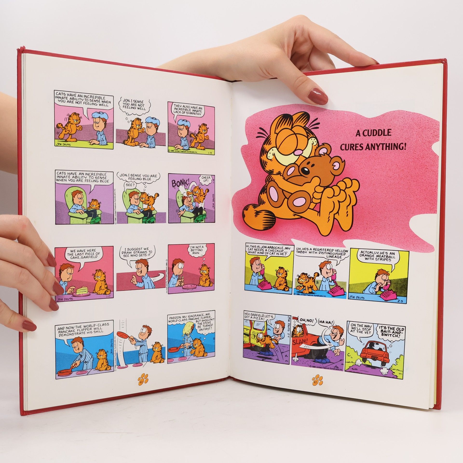 Jim Davis Garfield: Annual 1993