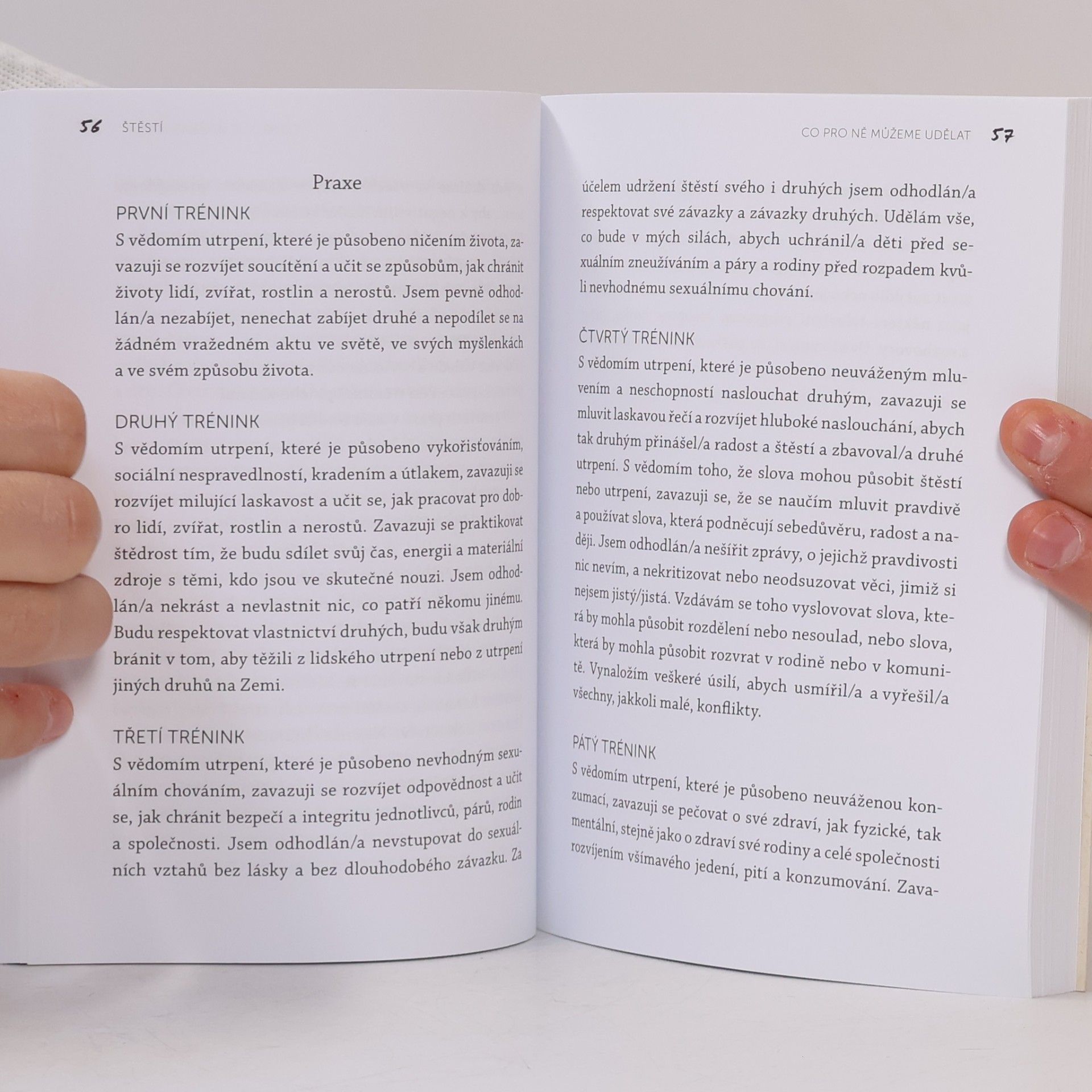 Thich Nhat Hanh Štěstí : co pro ně můžeme udělat