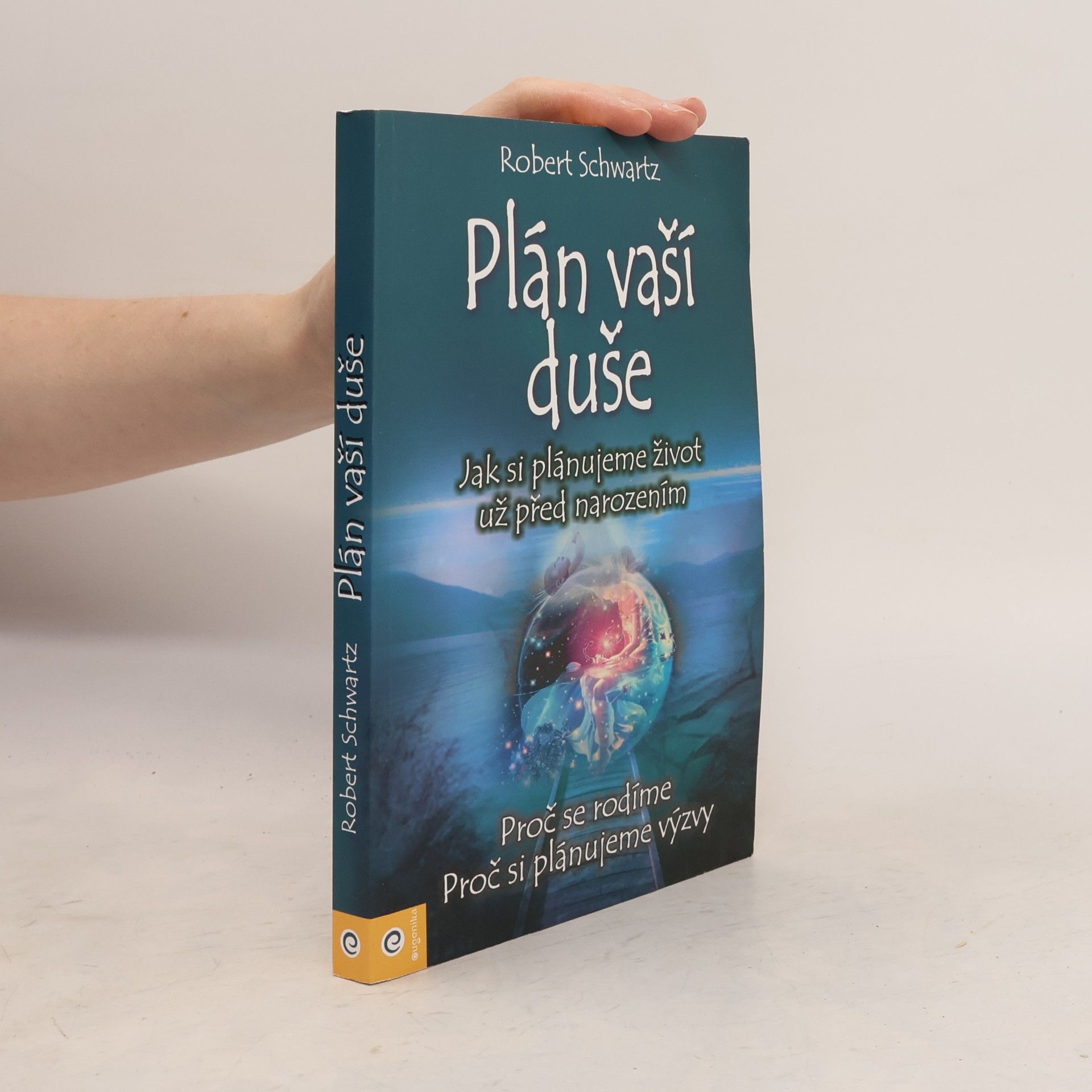 Zuzana Šestáková Plán vaší duše. Jak si plánujeme život už před narozením