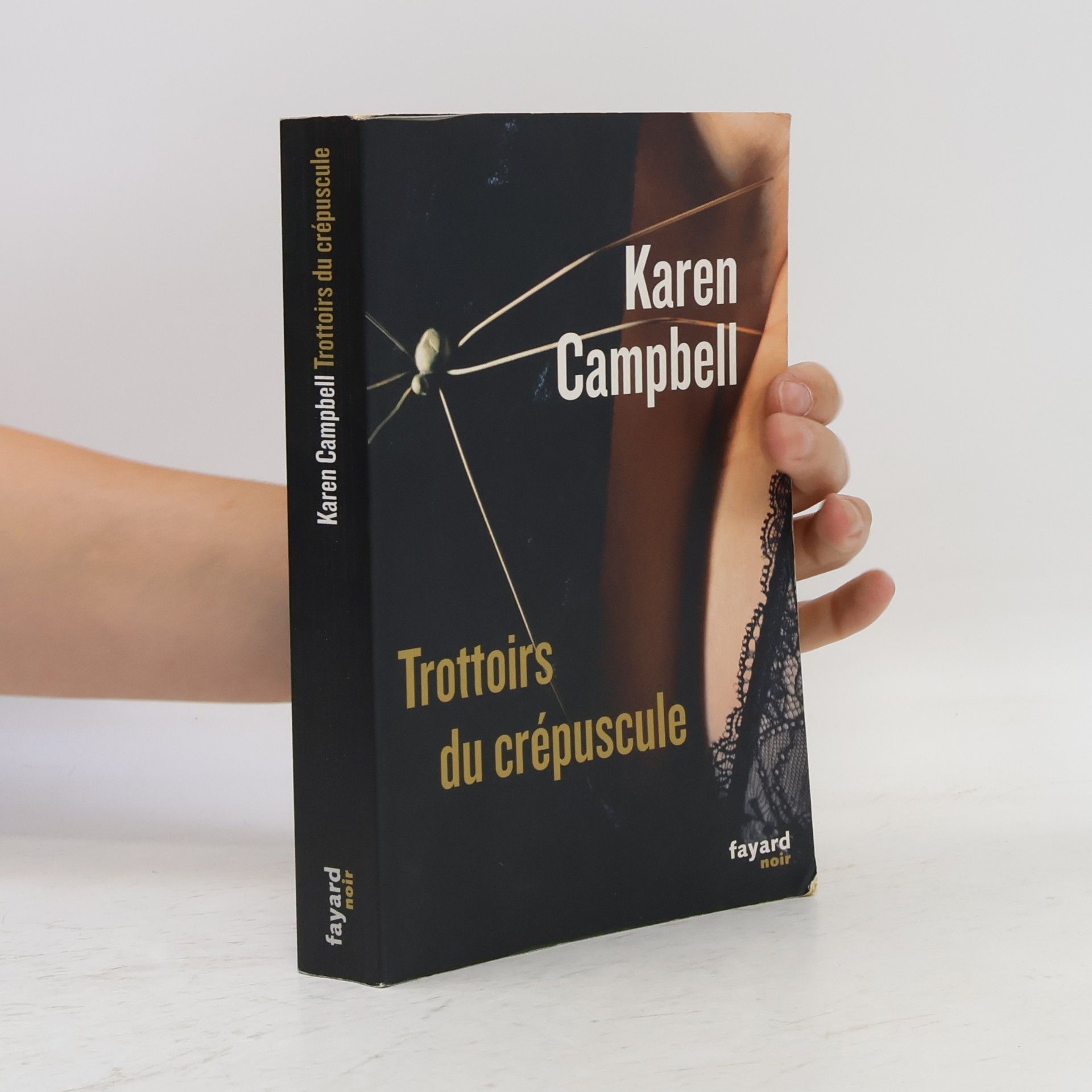 Karen Campbell Fayard noir: Trottoirs du crépuscule - traduit de l'anglais (Ecosse) par Stéphane Carn et Catherine Cheval