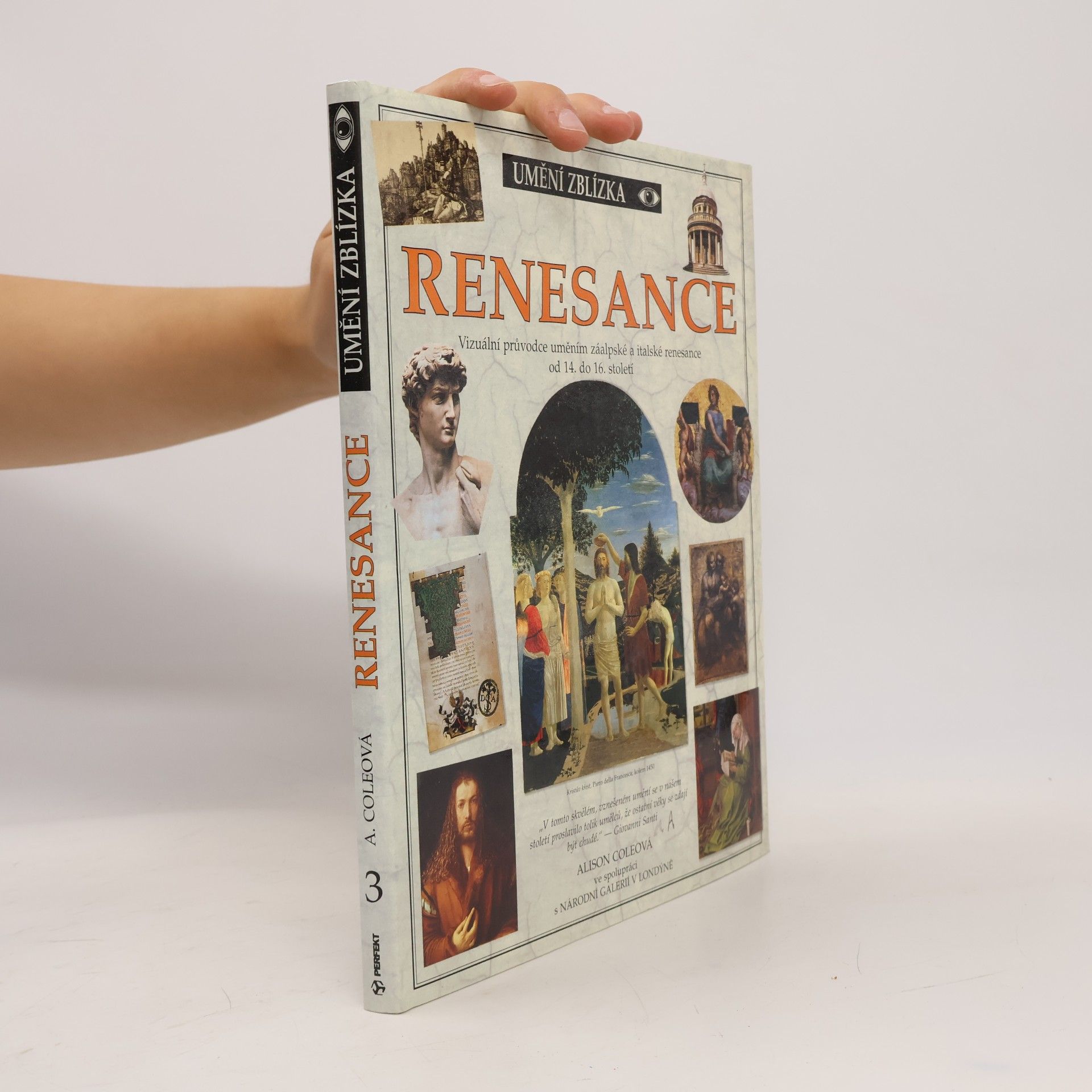 Alison Cole Renesance