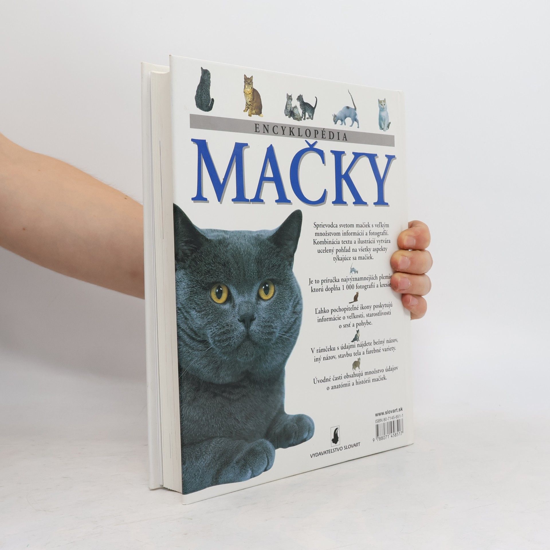 Michael Pollard Encyklopédia. Mačky