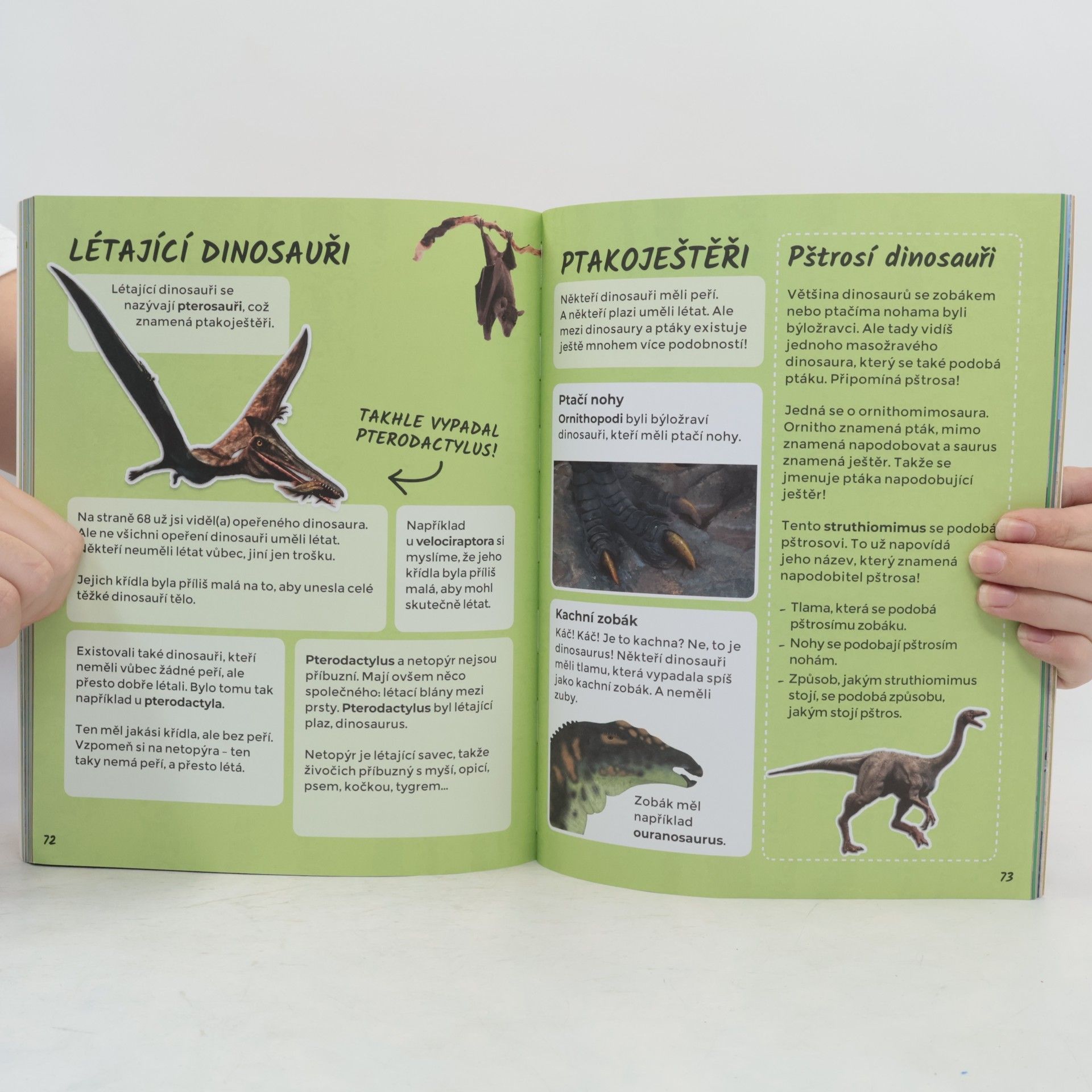 Renate Hagenouw Objevujeme úžasný svět. Dinosauři