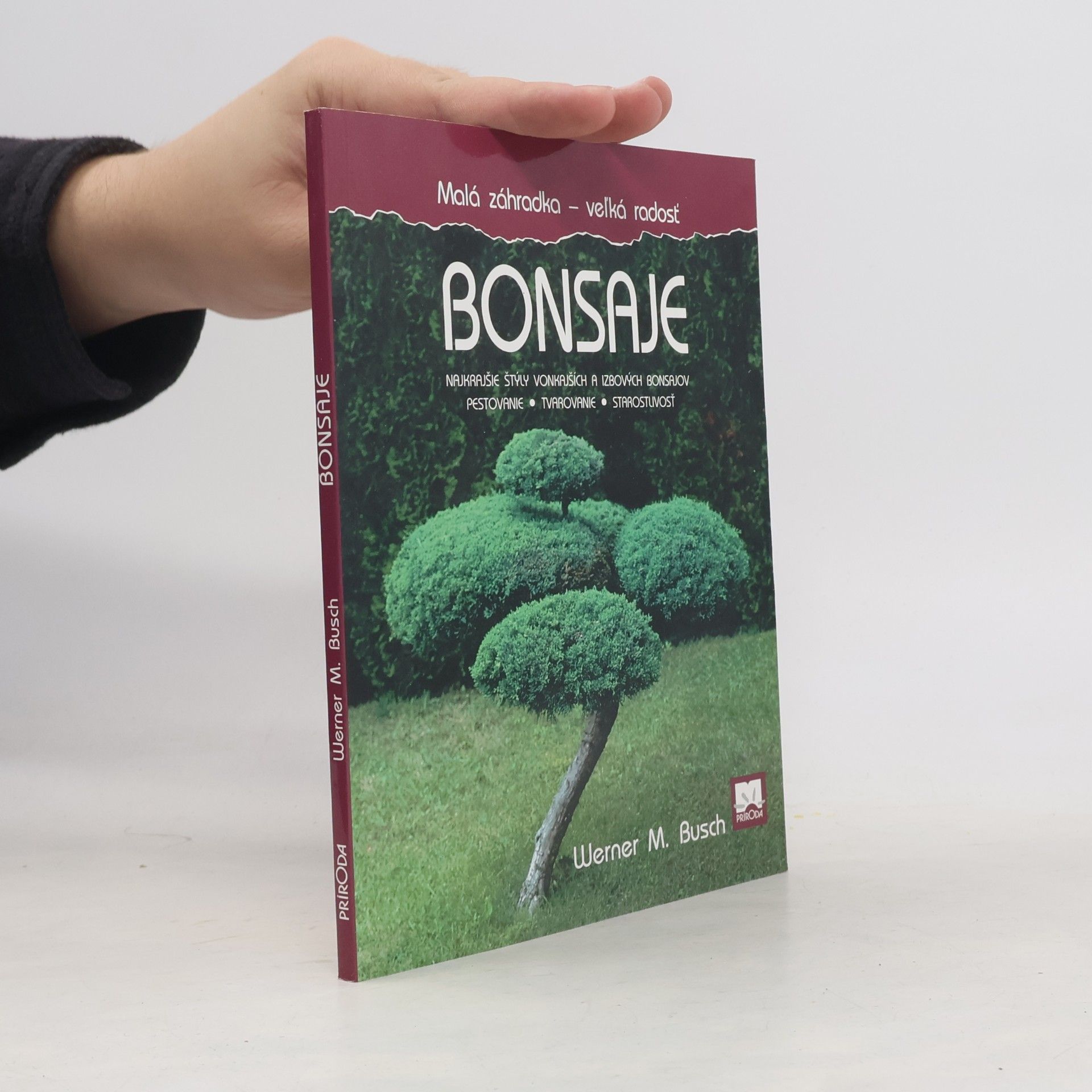 Werner M. Busch Bonsaje