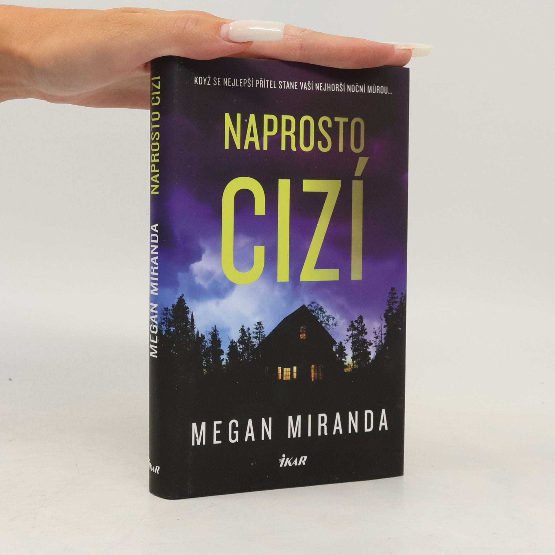 Megan Miranda Naprosto cizí