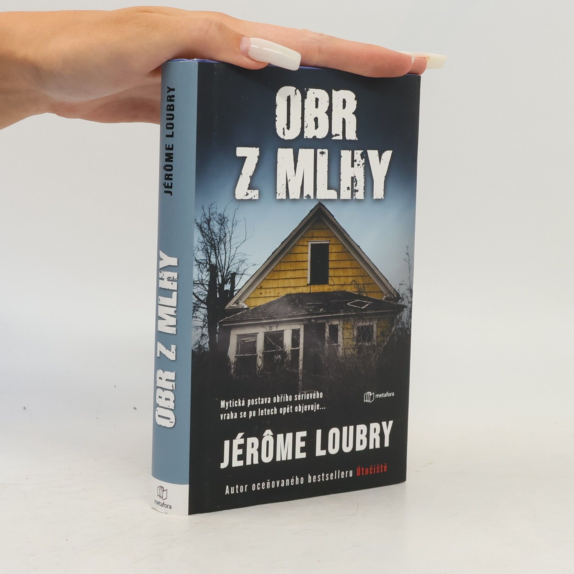 Jérôme Loubry Obr z mlhy